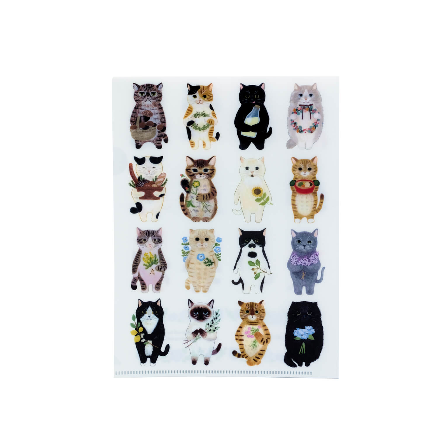 4 Legs Cat Portrait A5 Clear File