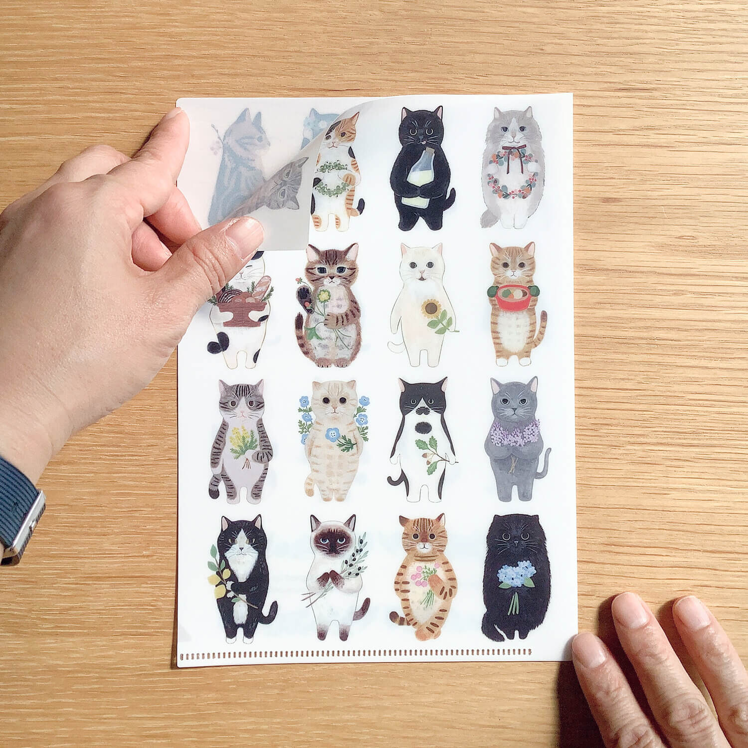 4 Legs Cat Portrait A5 Clear File
