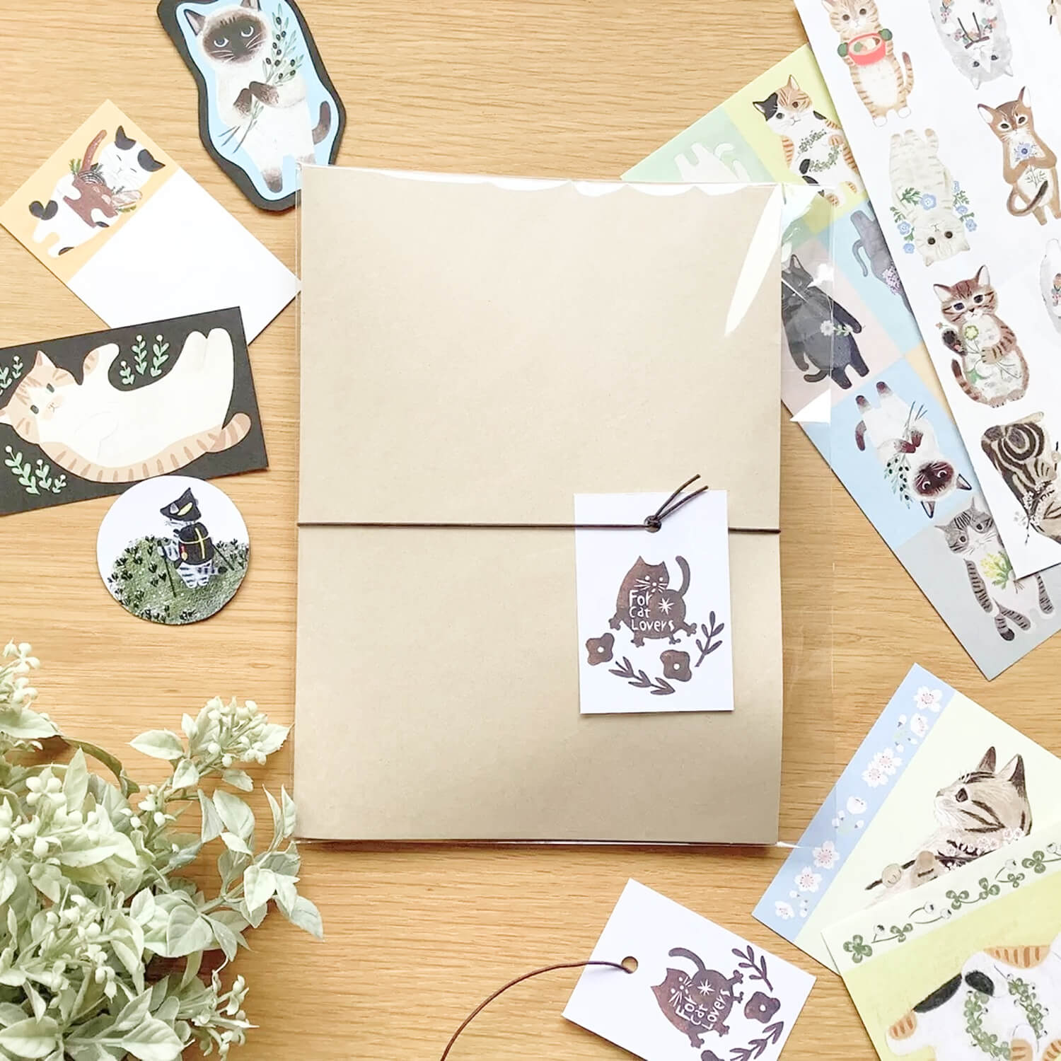4 legs Cat Paper Set