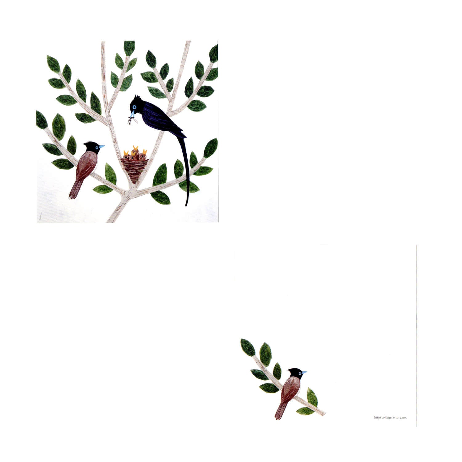 4 legs Memo Pad – Wild Birds (56 Sheets)