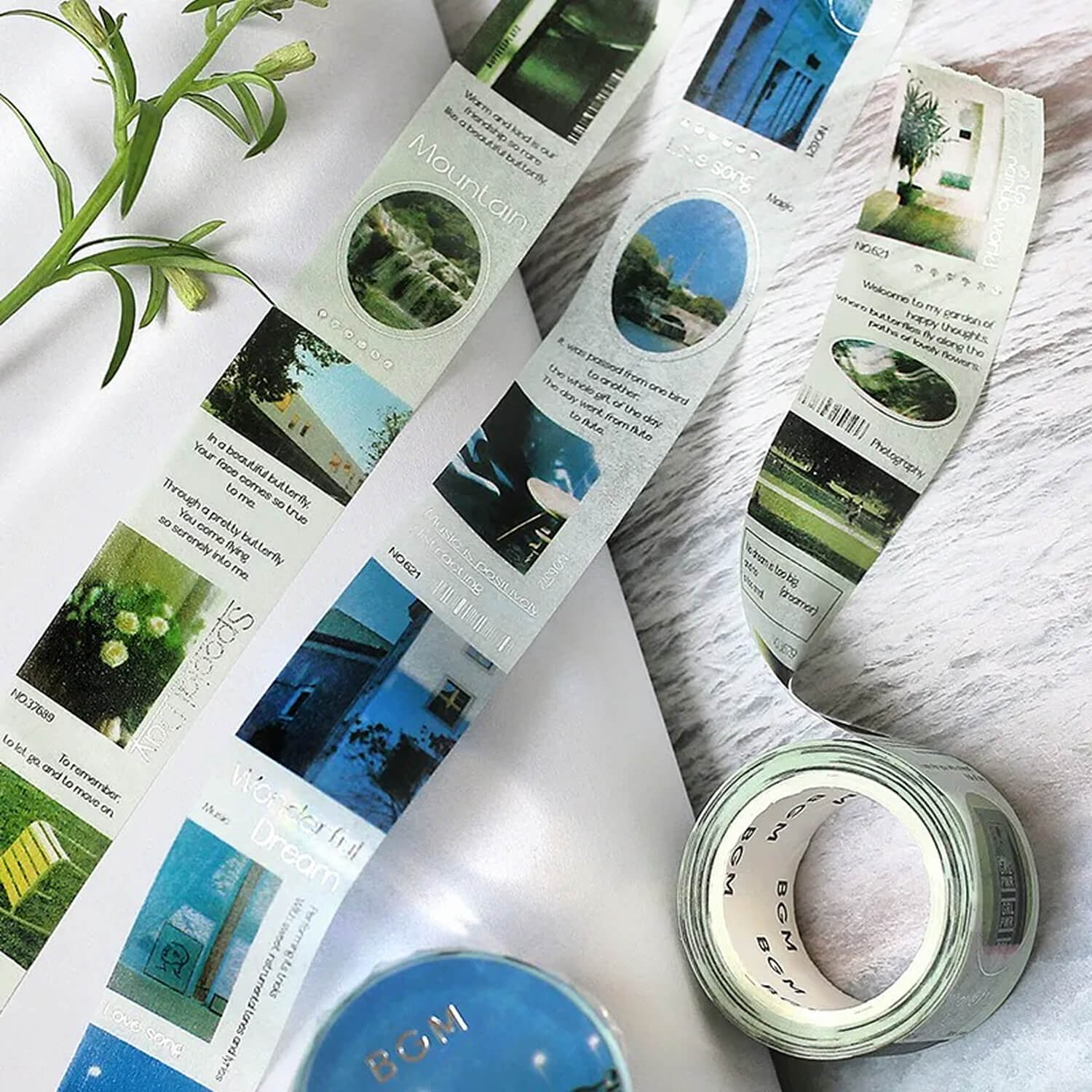 BGM Special Washi Tape – Color City - Green