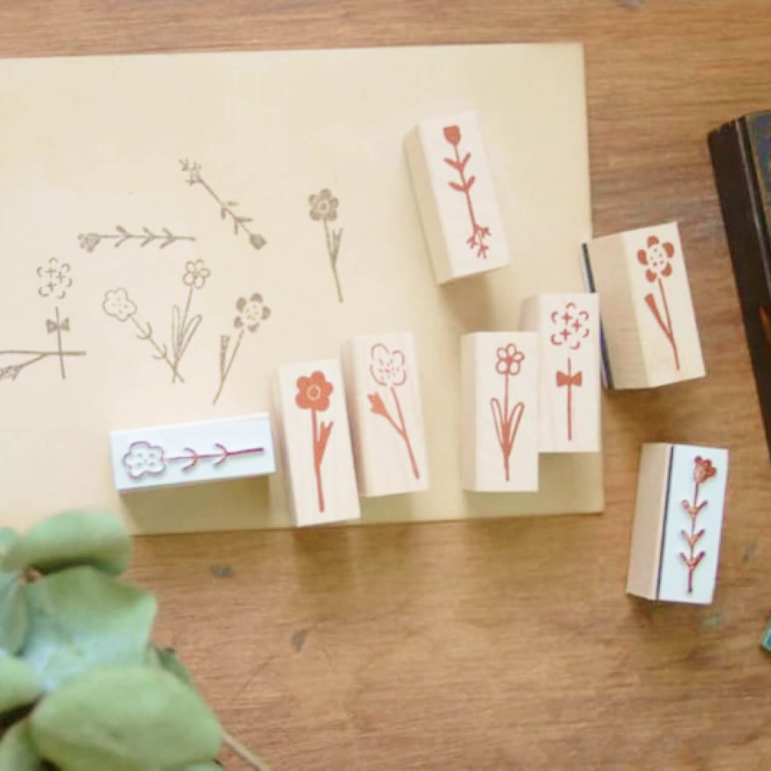 EVAKAKU Stamp Set – Daily Flowers (8 pcs)