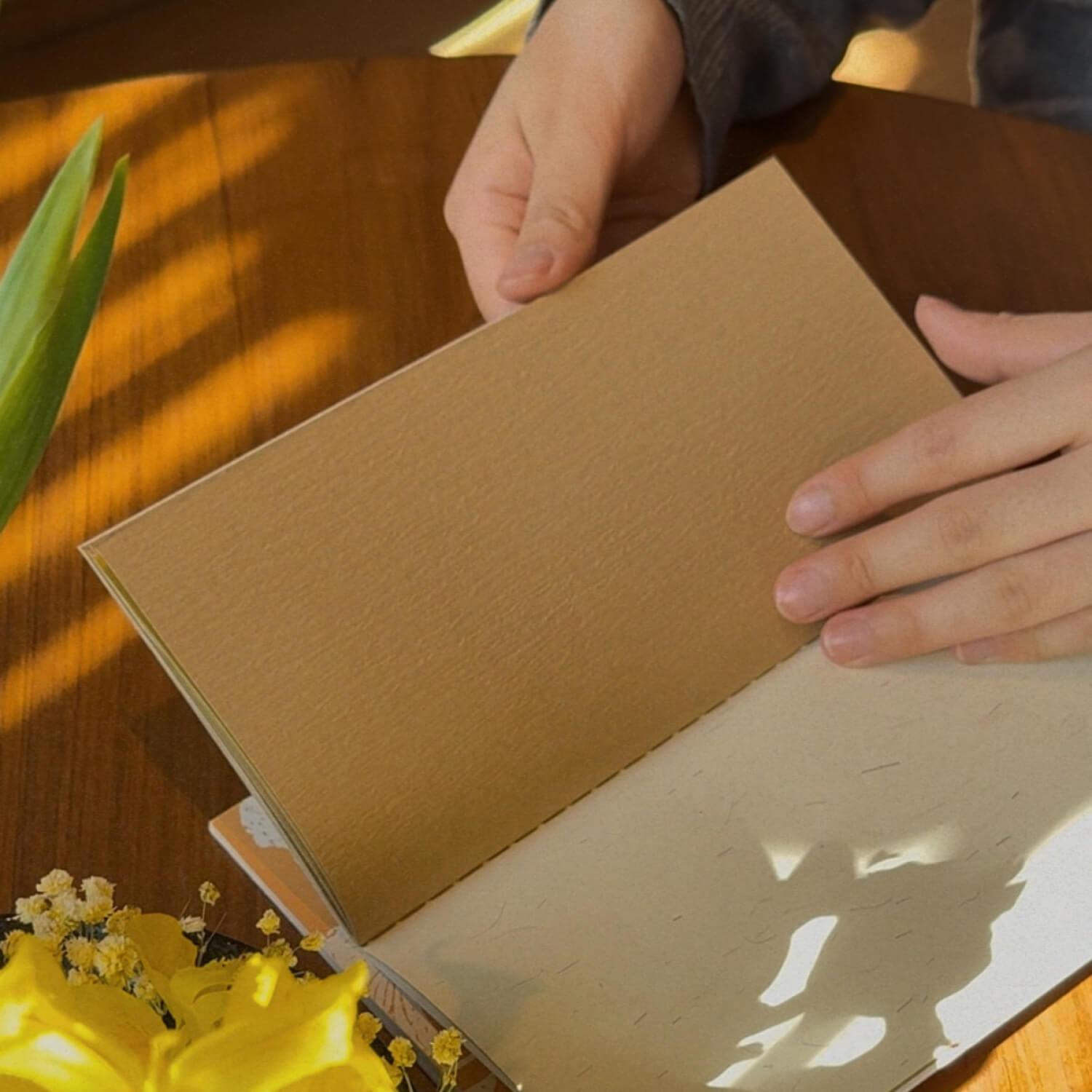 Square Studio Furniture Collection - Traveler's Notebook Inserts