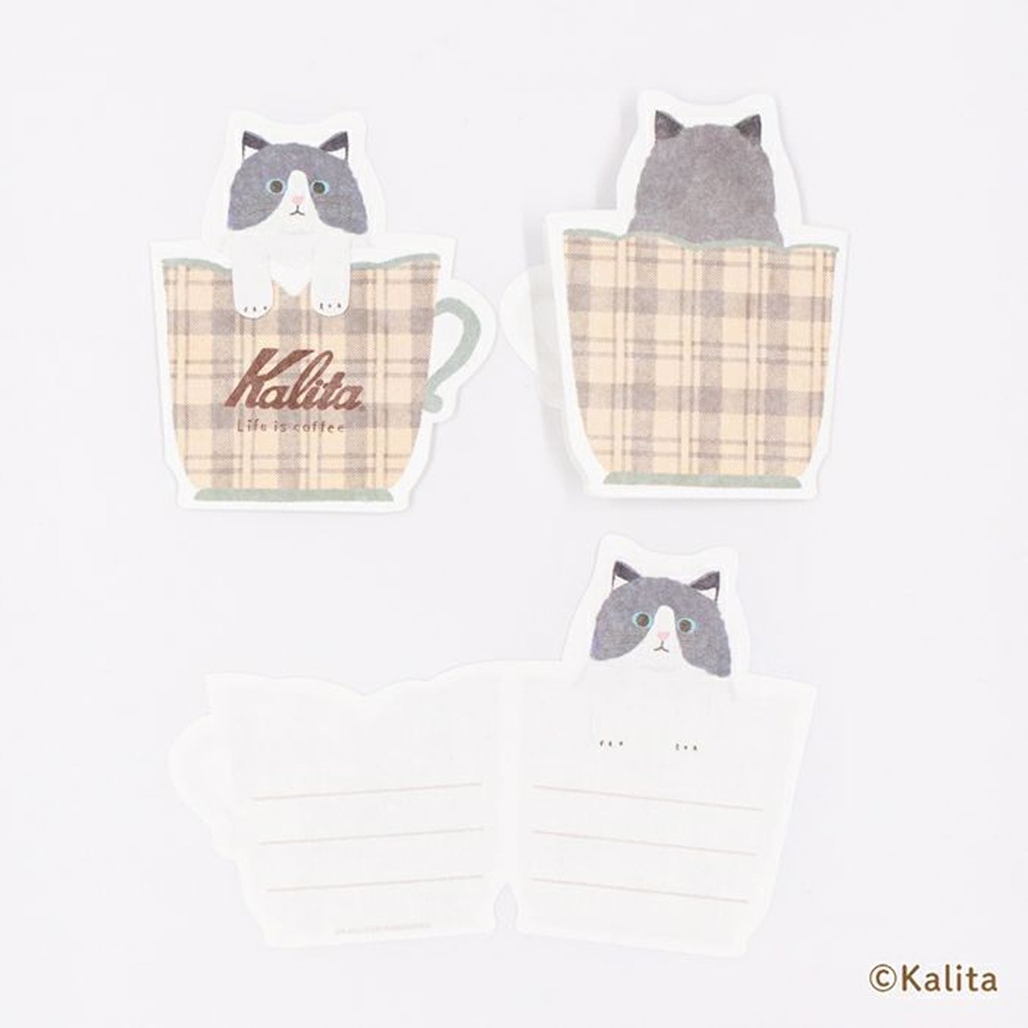 Furukawa Shiko x Kalita Mini Letter Pack – White Coffee
