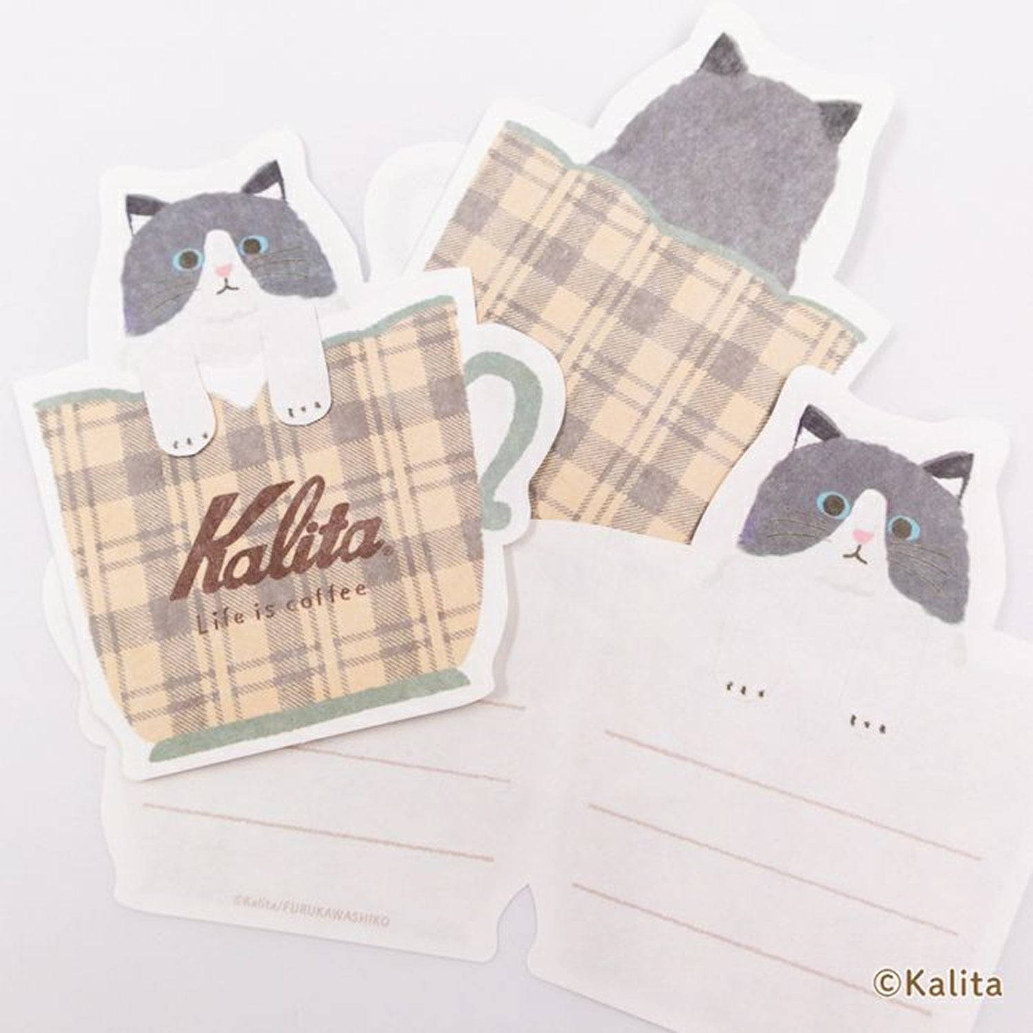 Furukawa Shiko x Kalita Mini Letter Pack – White Coffee