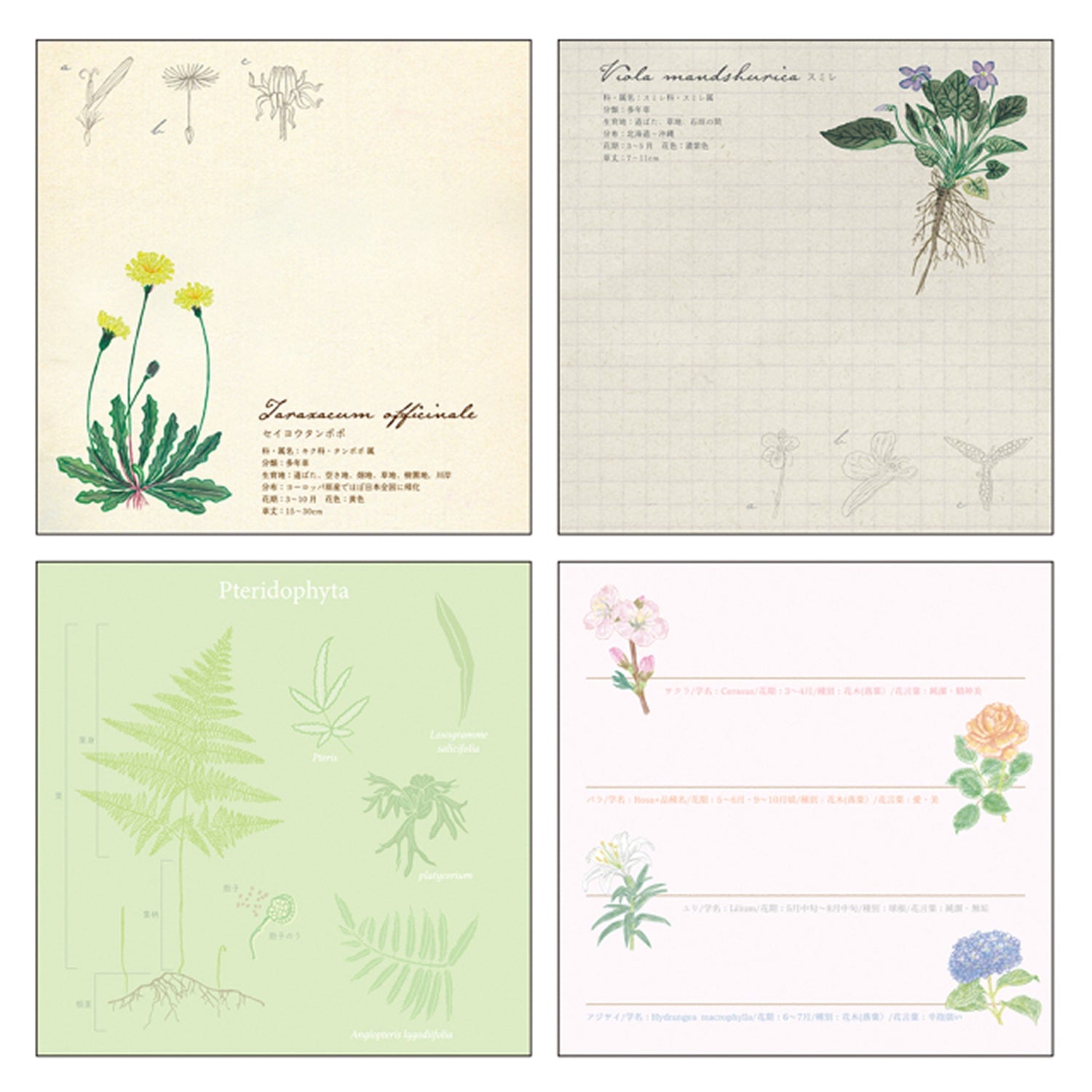 Green Flash Square Memo Pad - Botanical