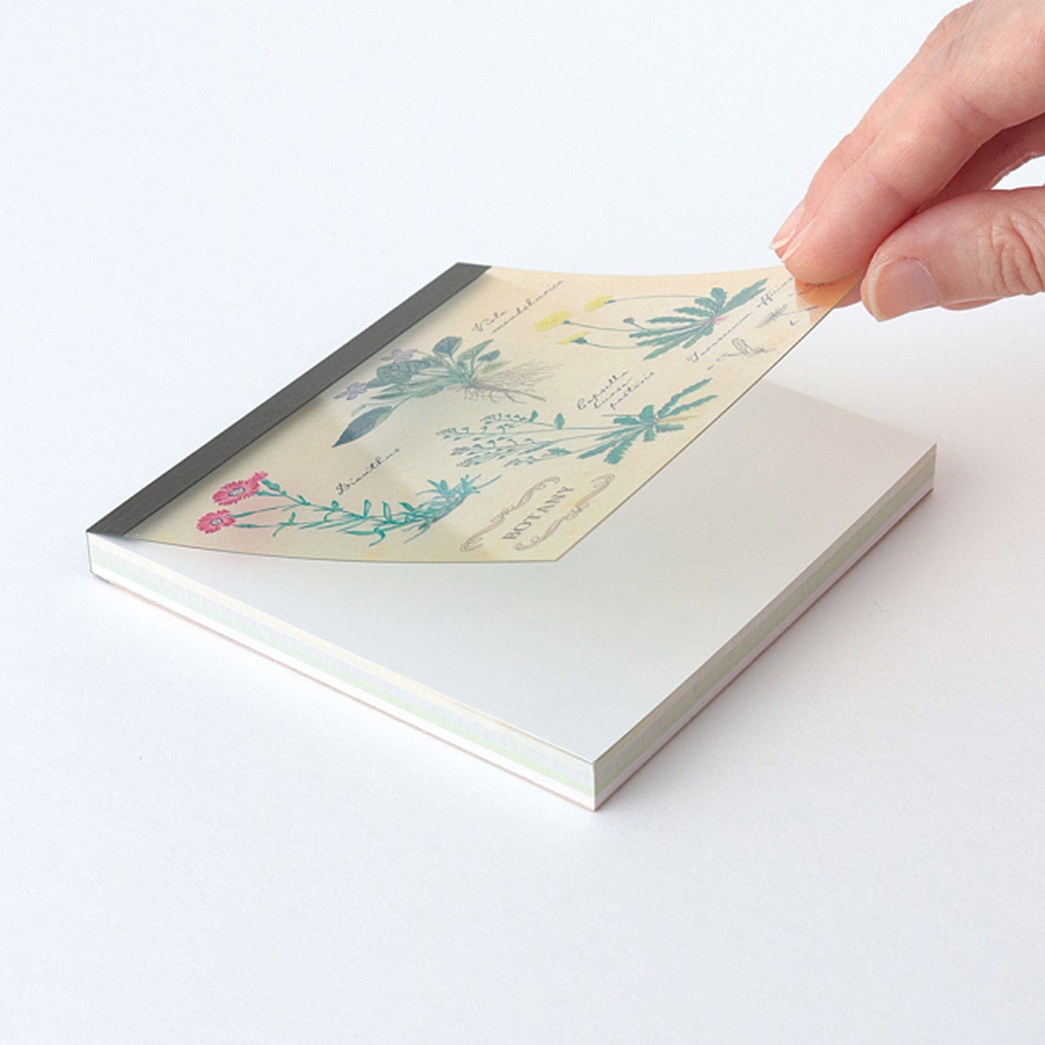 Green Flash Square Memo Pad - Botanical