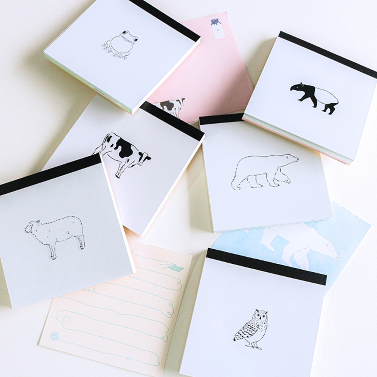 Green Flash Square Memo Pad - Cow