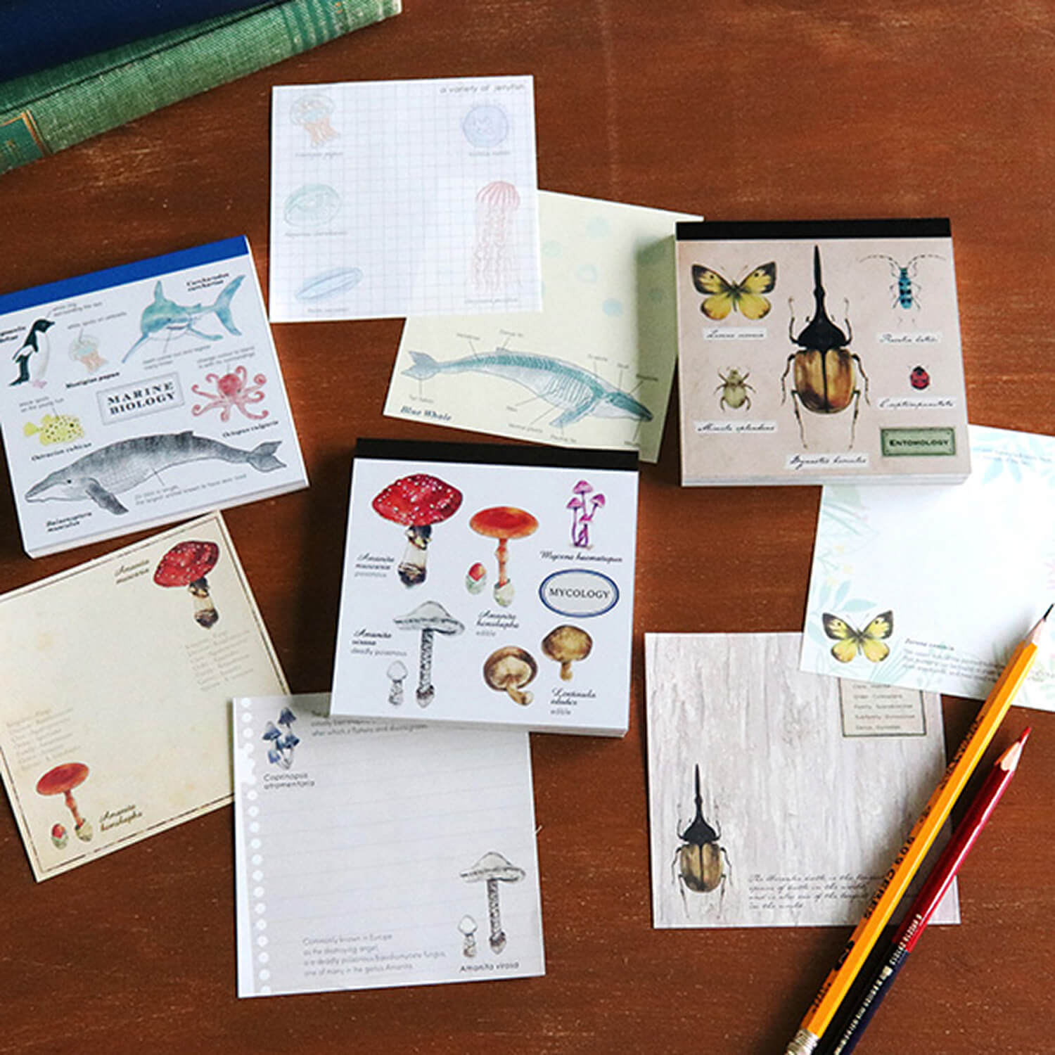 Green Flash Square Memo Pad - Mycology