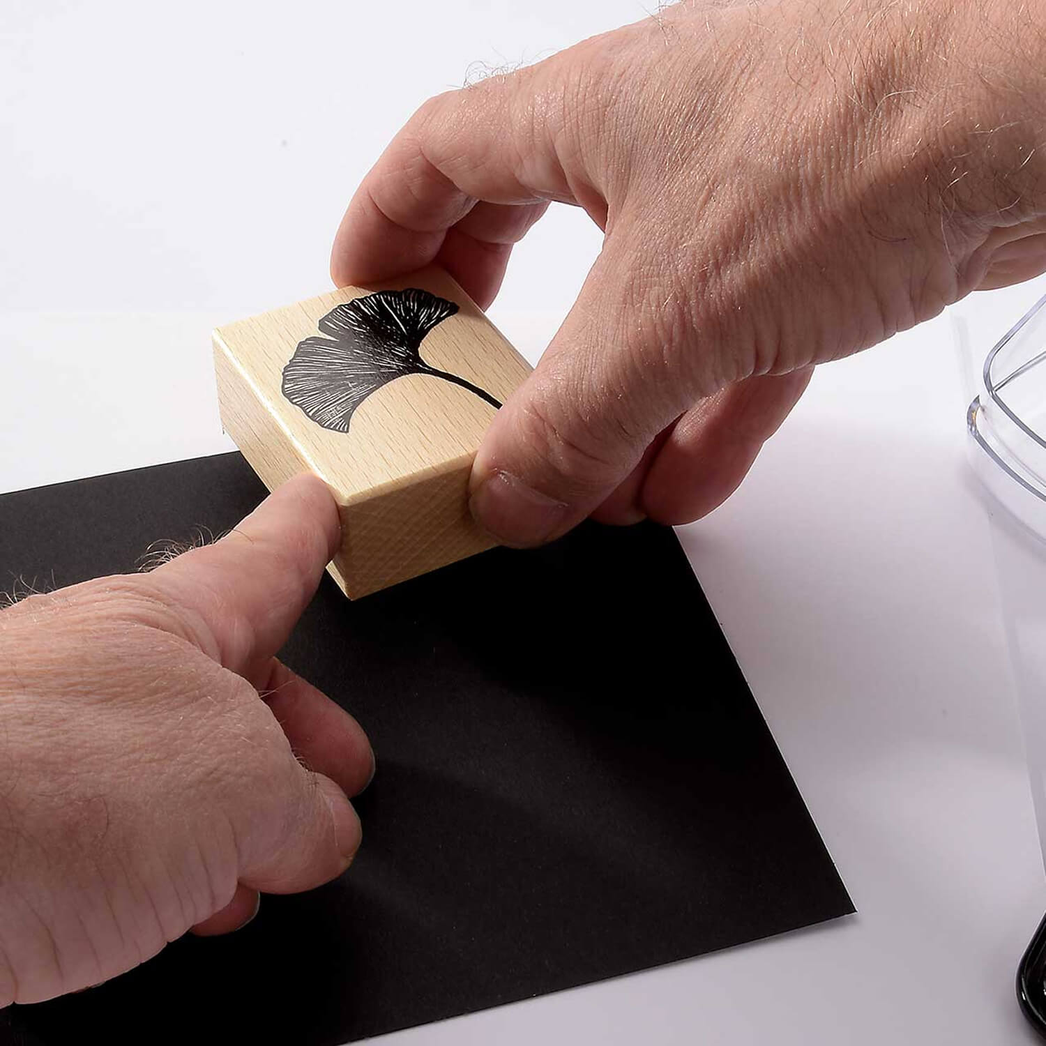 Heindesign Rubber Stamp – Ginkgo