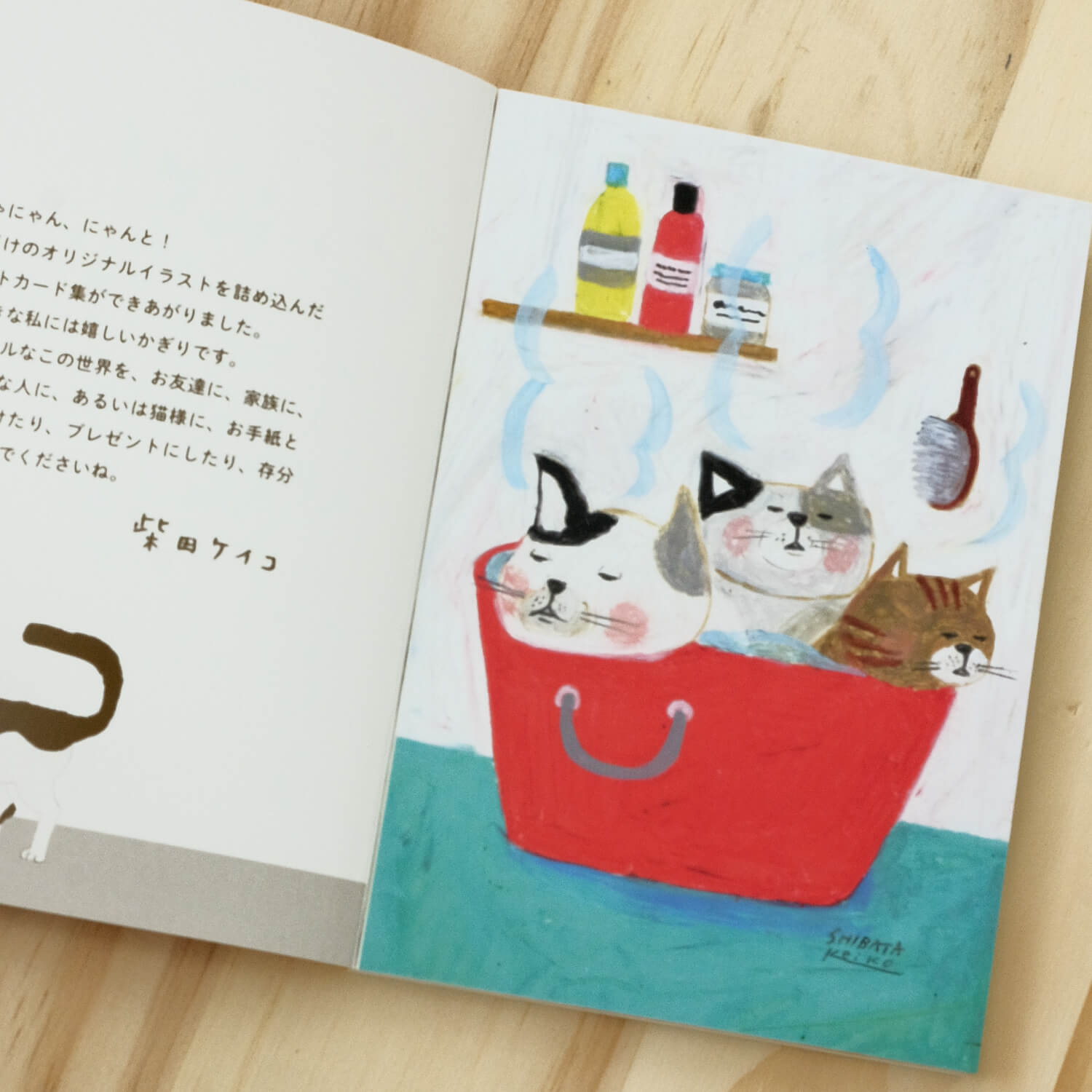 Keiko Shibata Shibata Shoten Postcard Book – Nyan-to! | All 