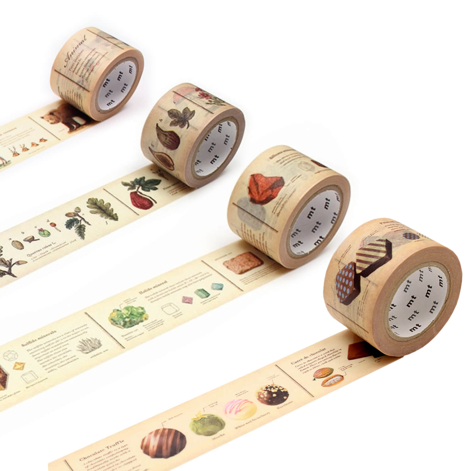 mt EX Washi Tape - Encyclopedia