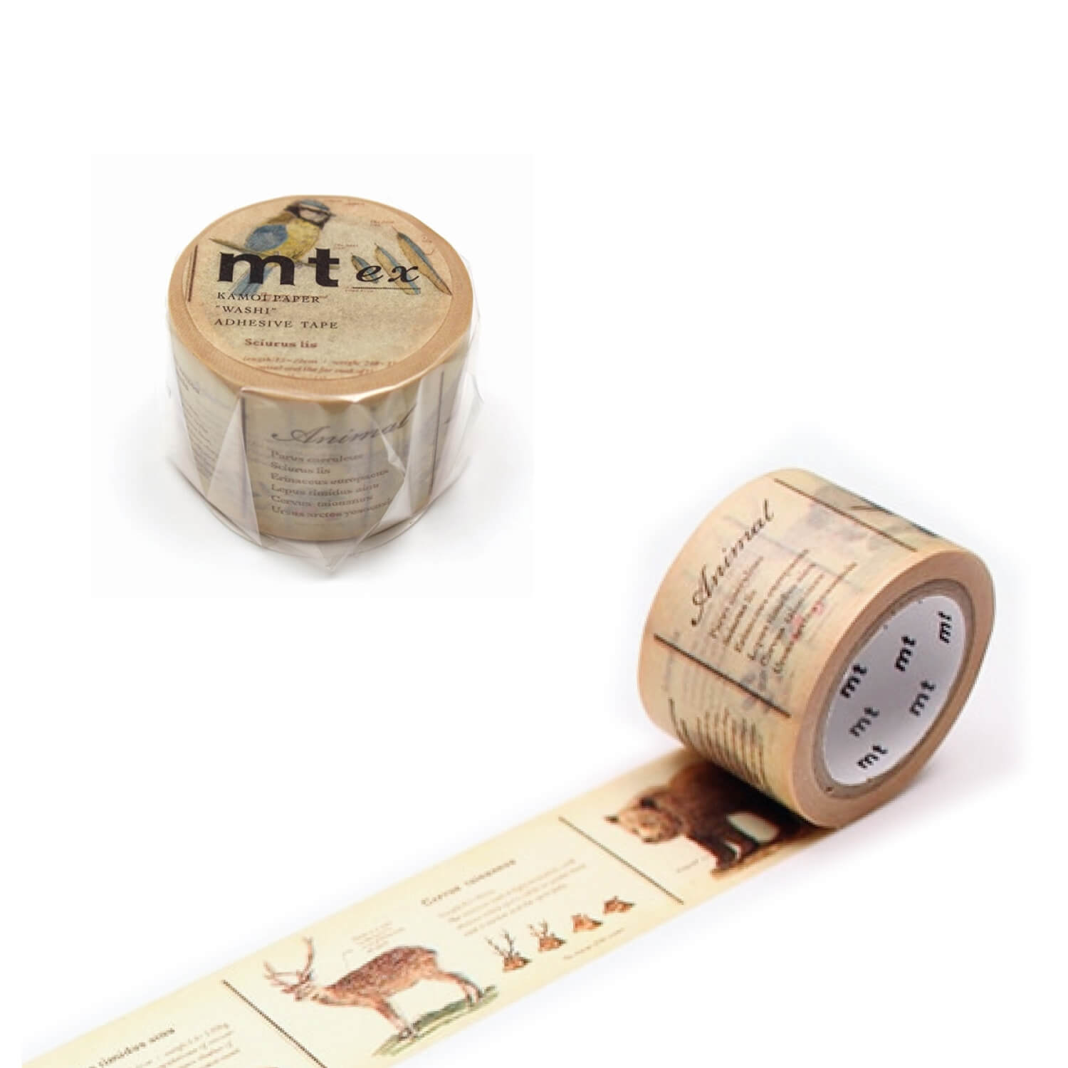 mt EX Washi Tape - Encyclopedia