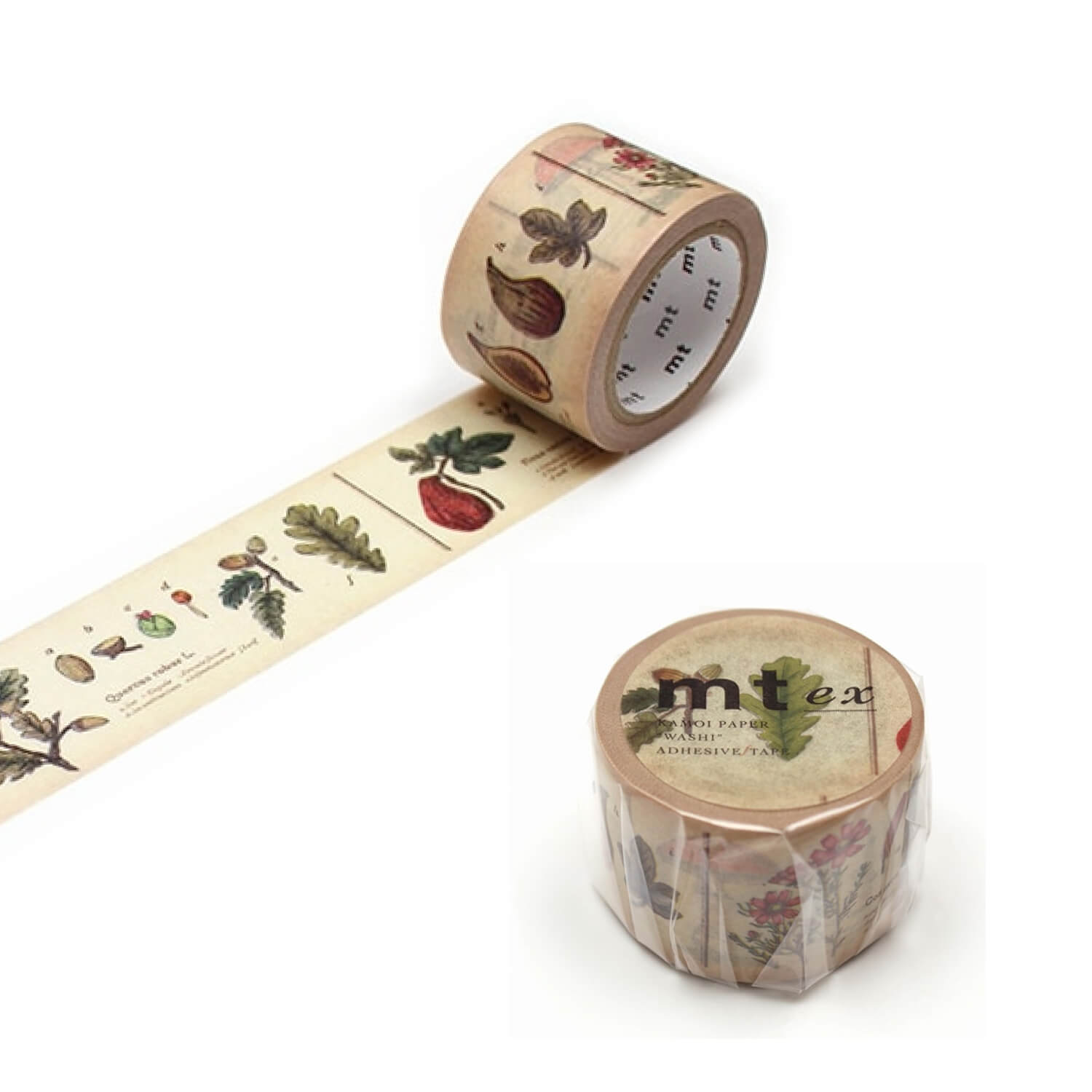 mt EX Washi Tape - Encyclopedia