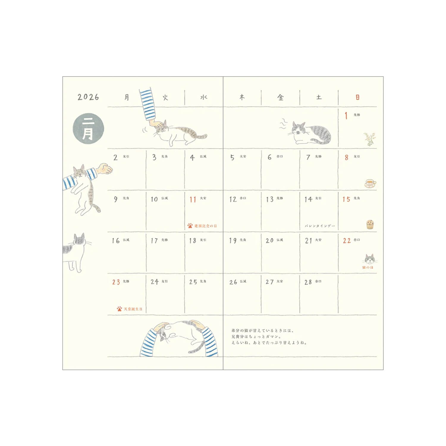 Midori 2026 Pocket Diary B6 Slim - Cats