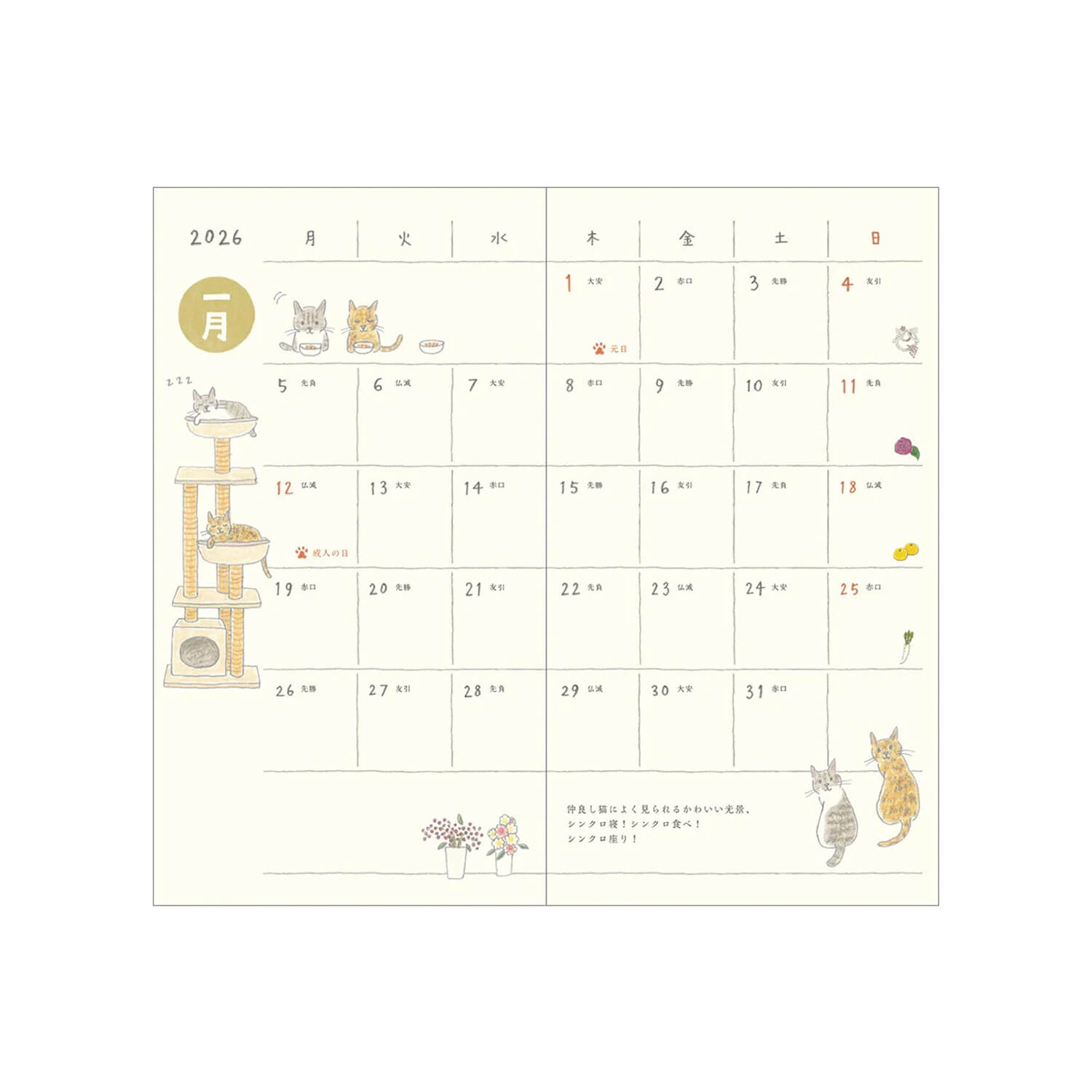 Midori 2026 Pocket Diary B6 Slim - Cats