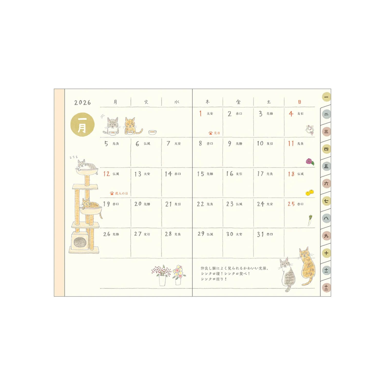 Midori 2026 Pocket Diary B7 Mini - Cats