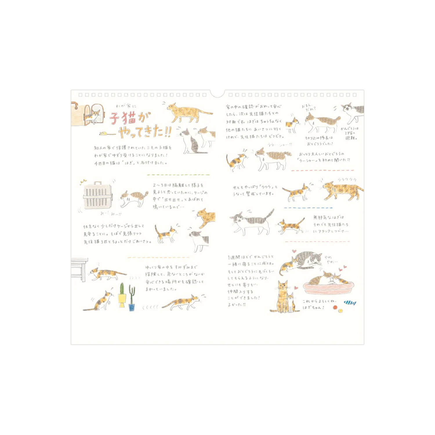 Midori 2026 Wall Calendar - Cats