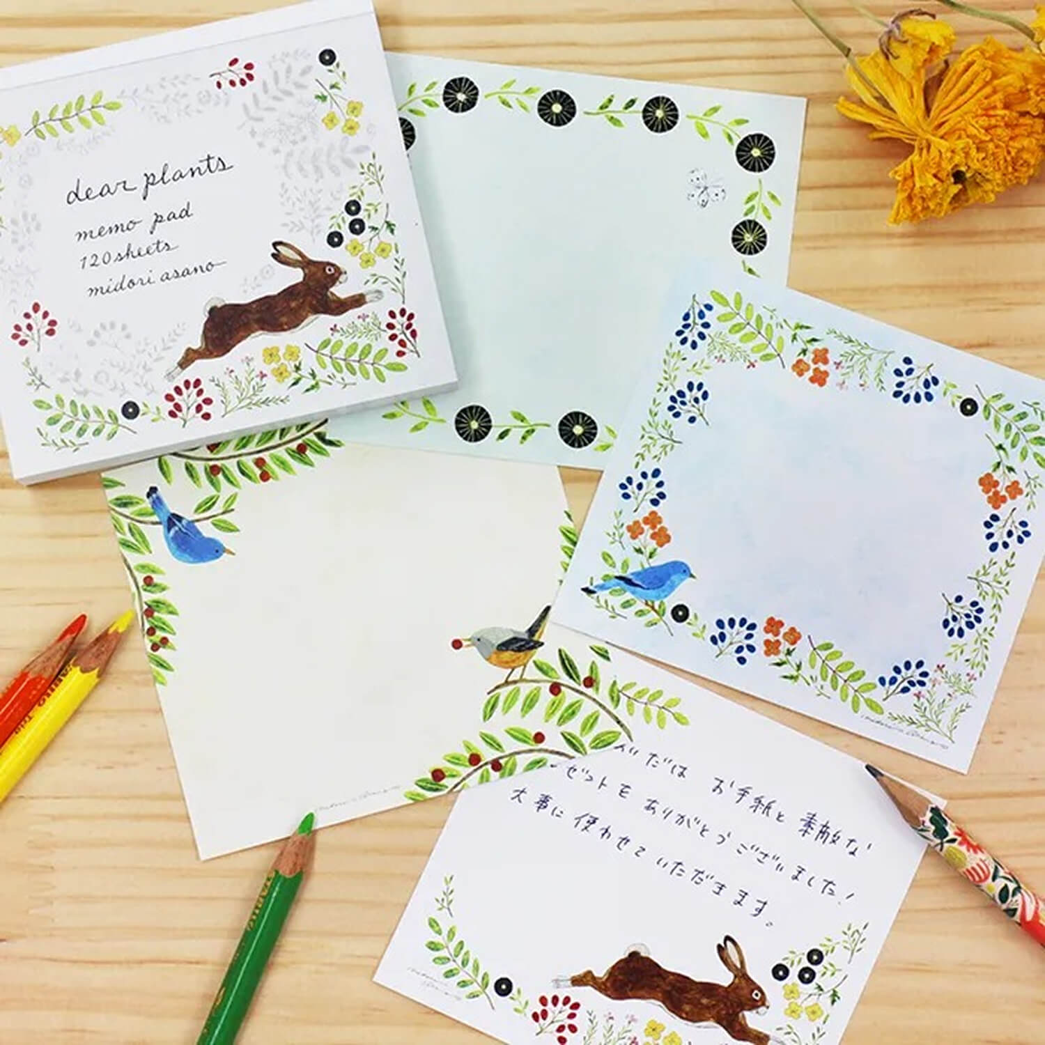 Midori Asano Memo Block – Dear Plants