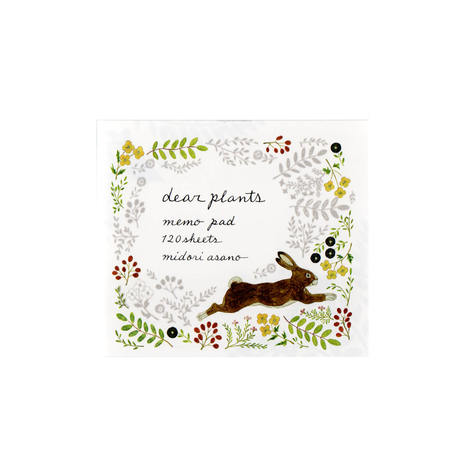 Midori Asano Memo Block – Dear Plants