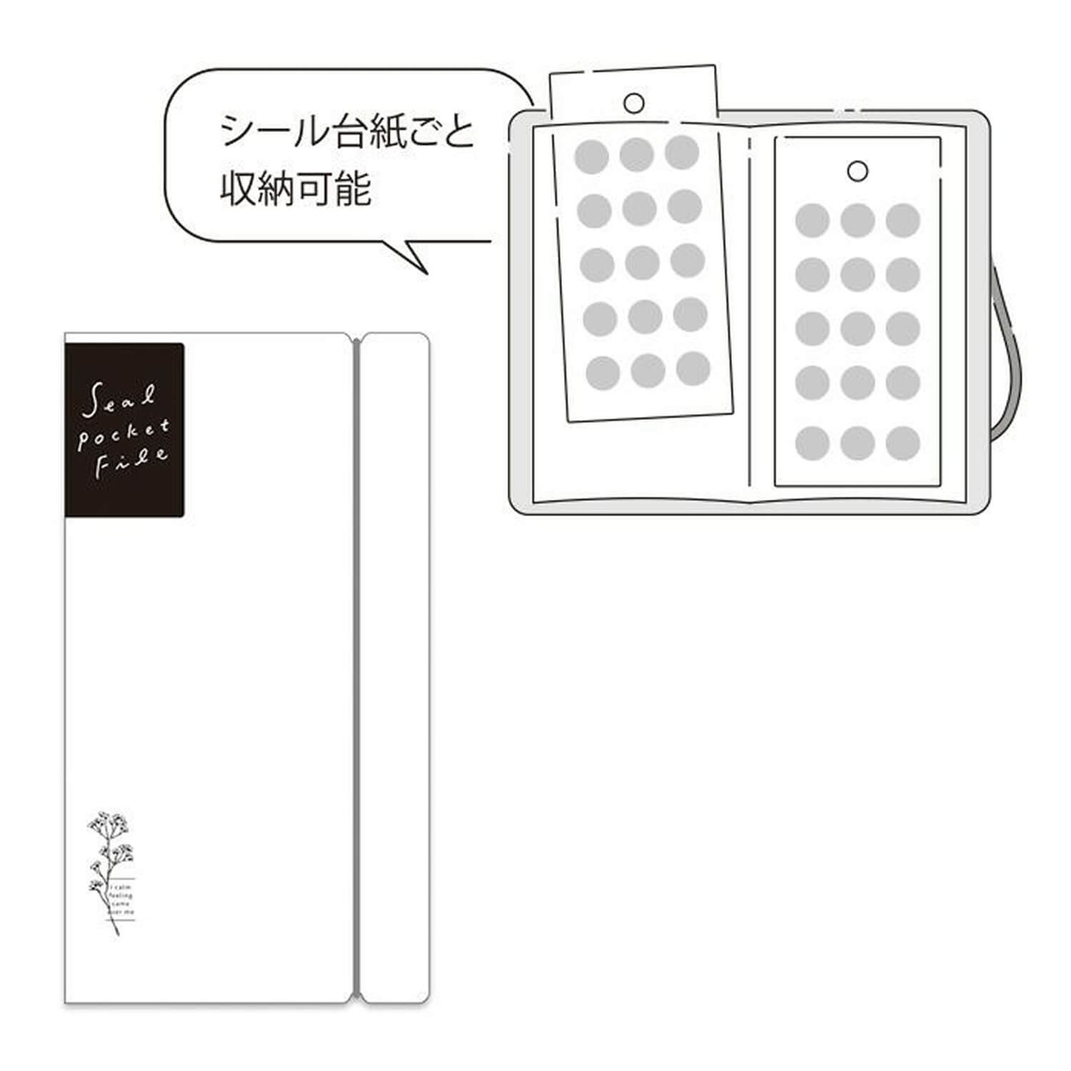 Mind Wave Bine. Seal Pocket File