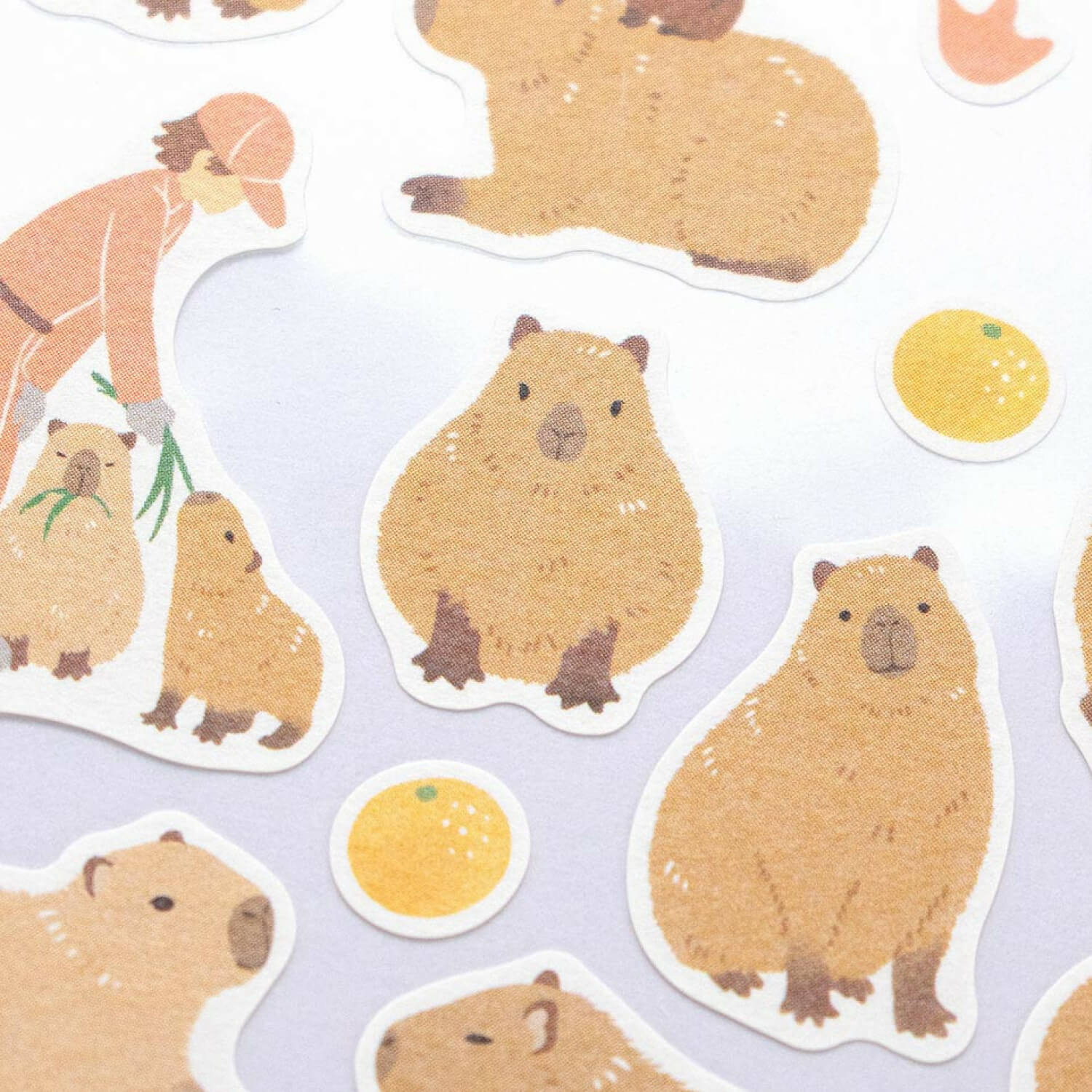 NB ZOOm in Animals Sticker Sheet – Capybara