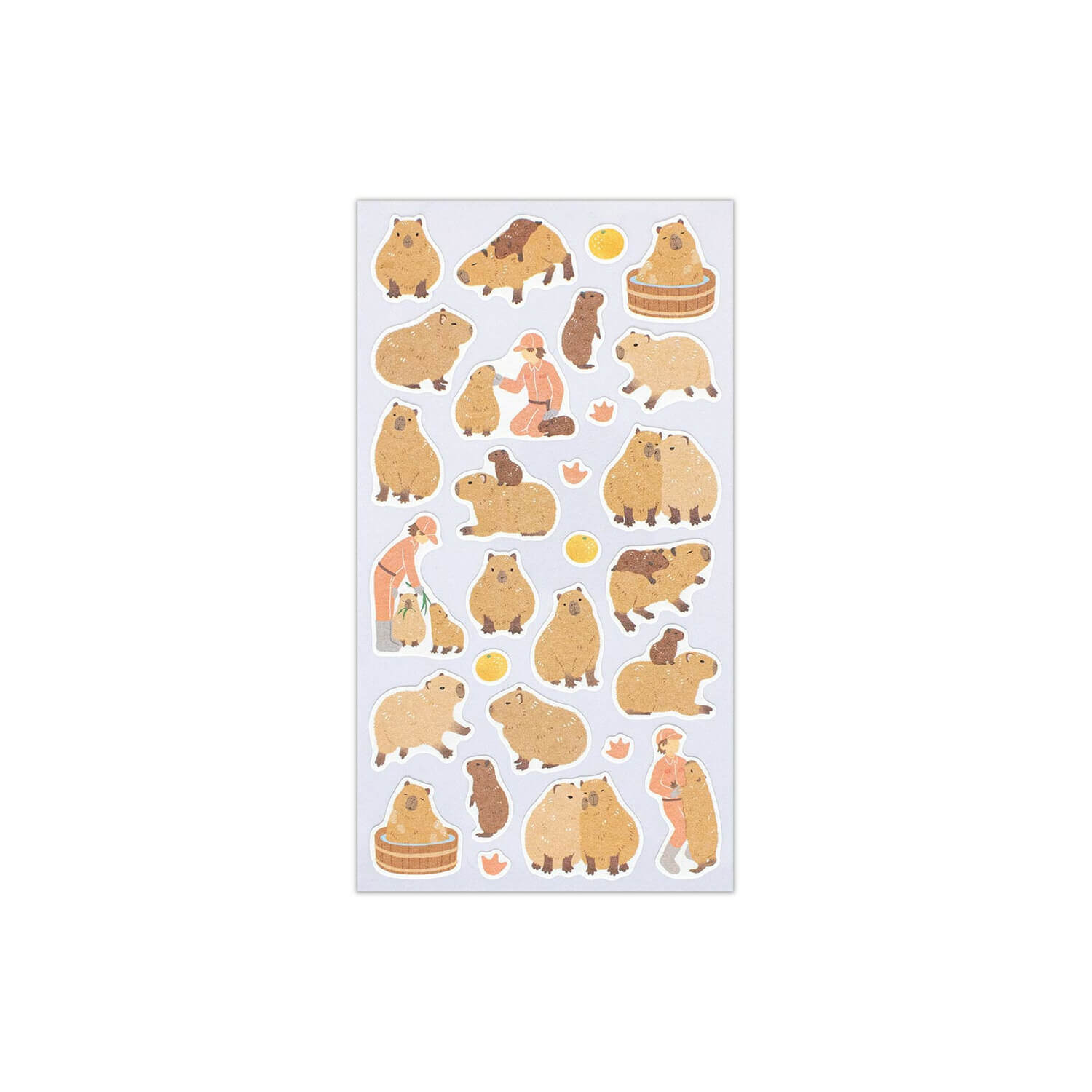 NB ZOOm in Animals Sticker Sheet – Capybara
