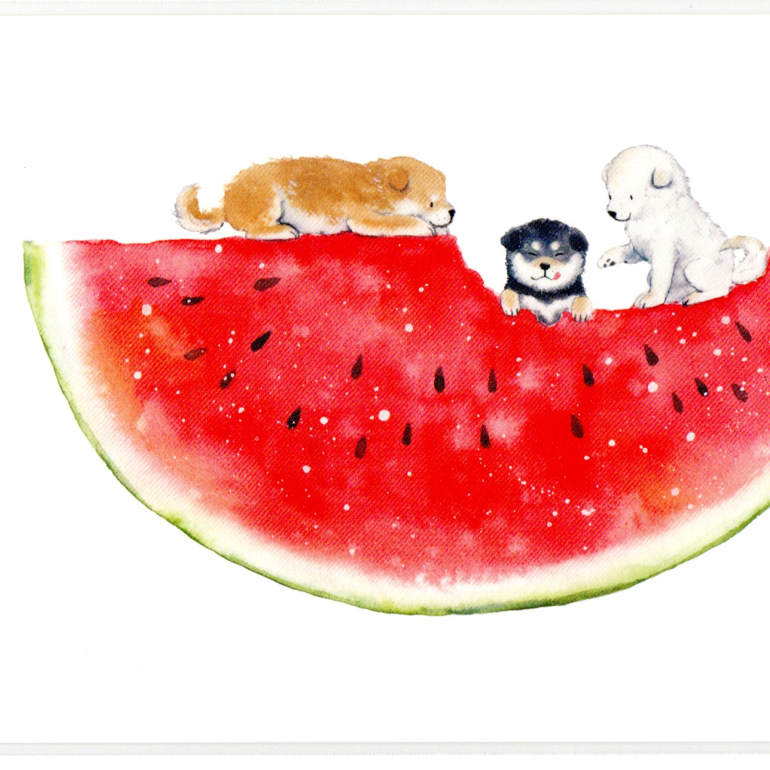 Natsuka Murata Postcard – Shiba Delicious Summer – Watermelon