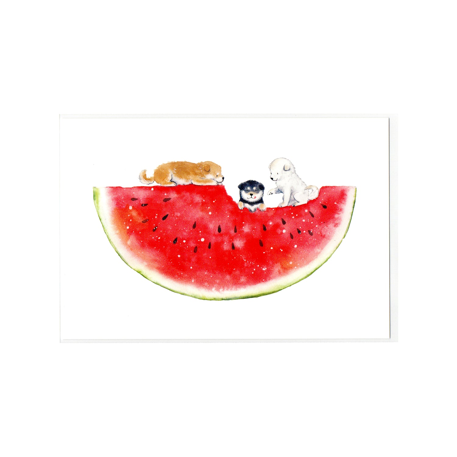 Natsuka Murata Postcard – Shiba Delicious Summer – Watermelon