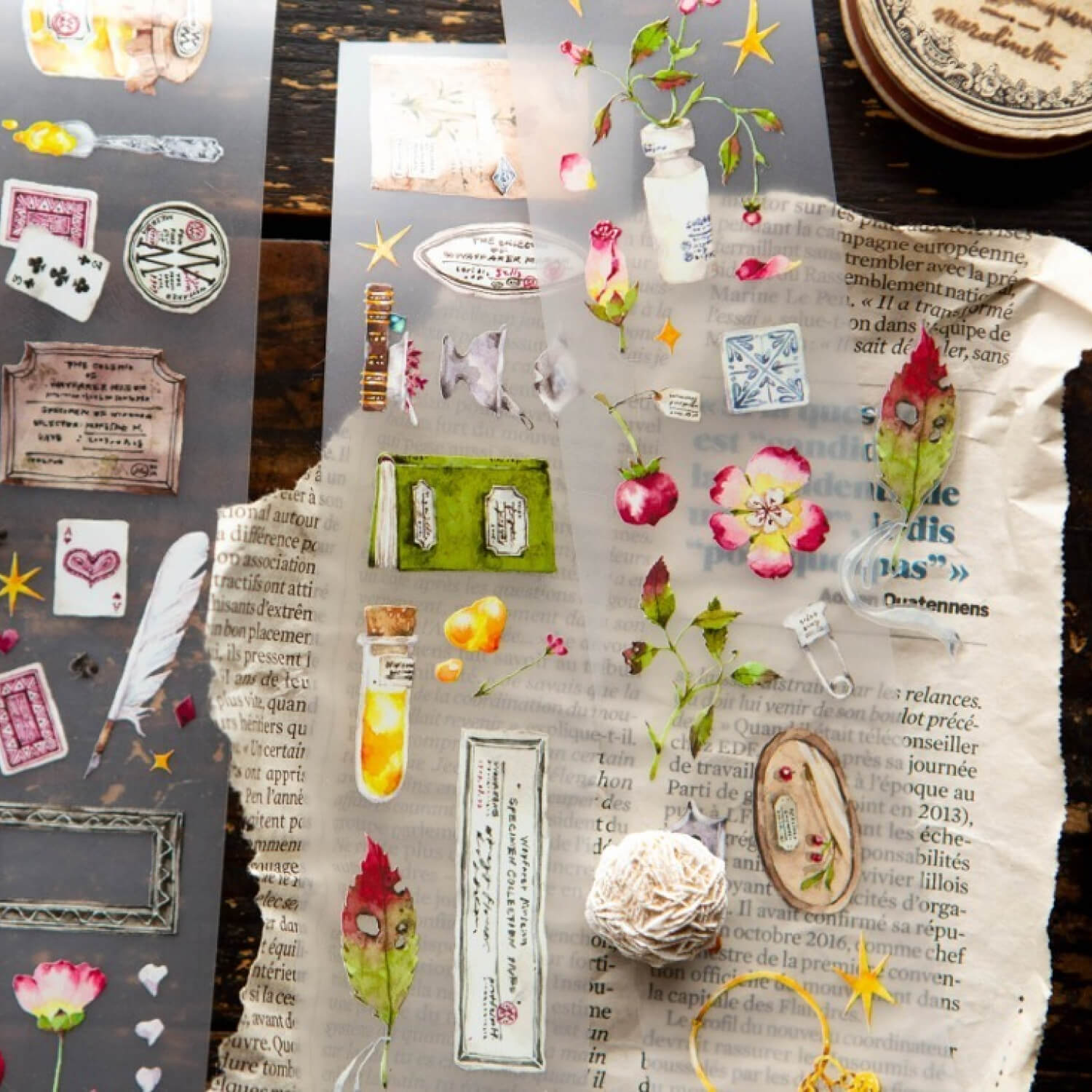 OURS Desk of Botanist PET Tape