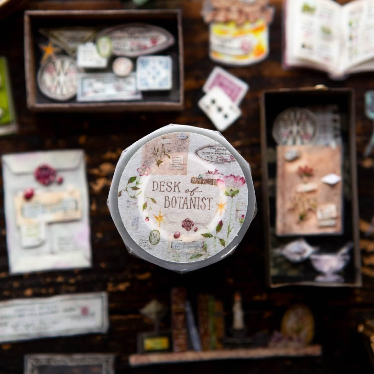 OURS Desk of Botanist PET Tape