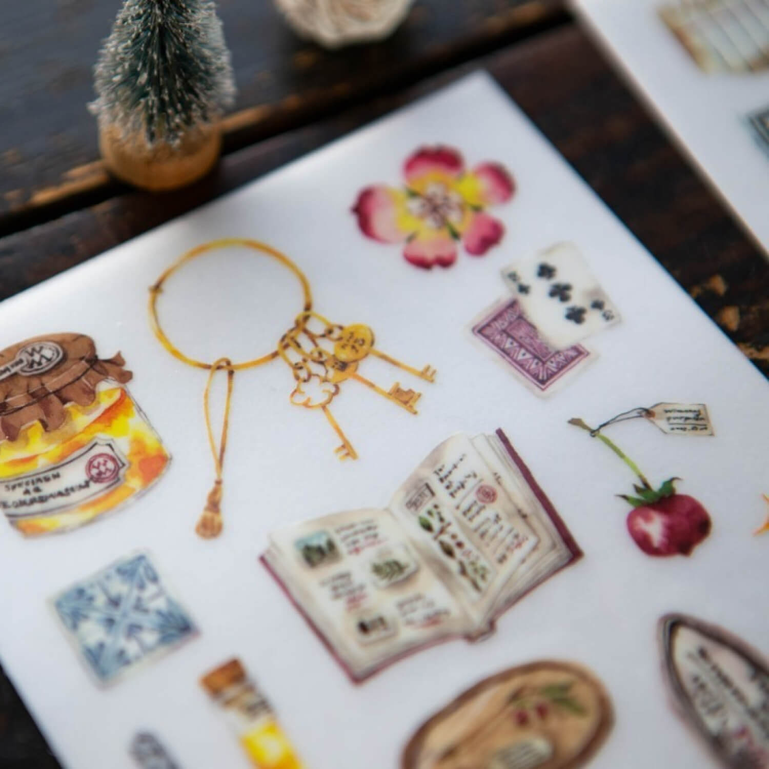 OURS Desk of Botanist Transfer Sticker