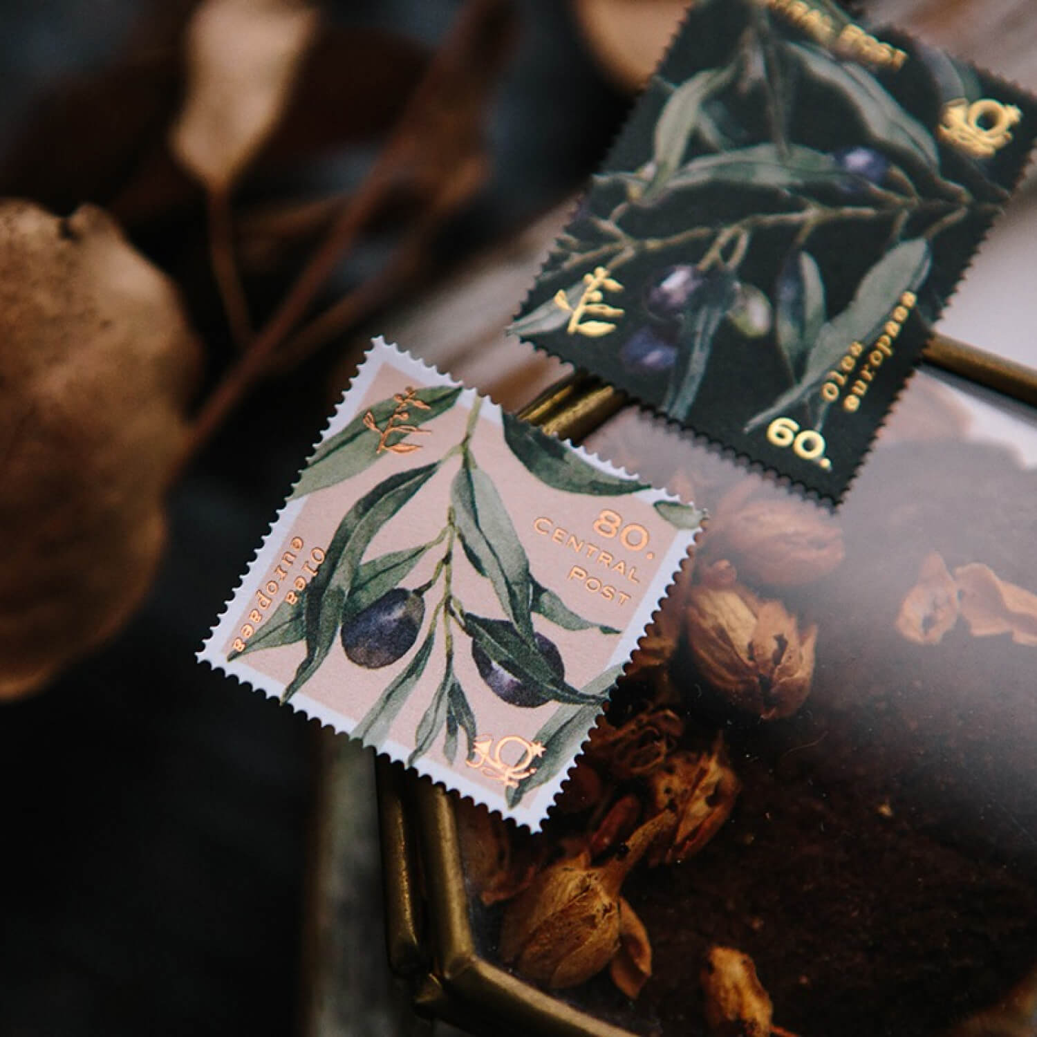 OURS Olive Branches Stamp Sticker