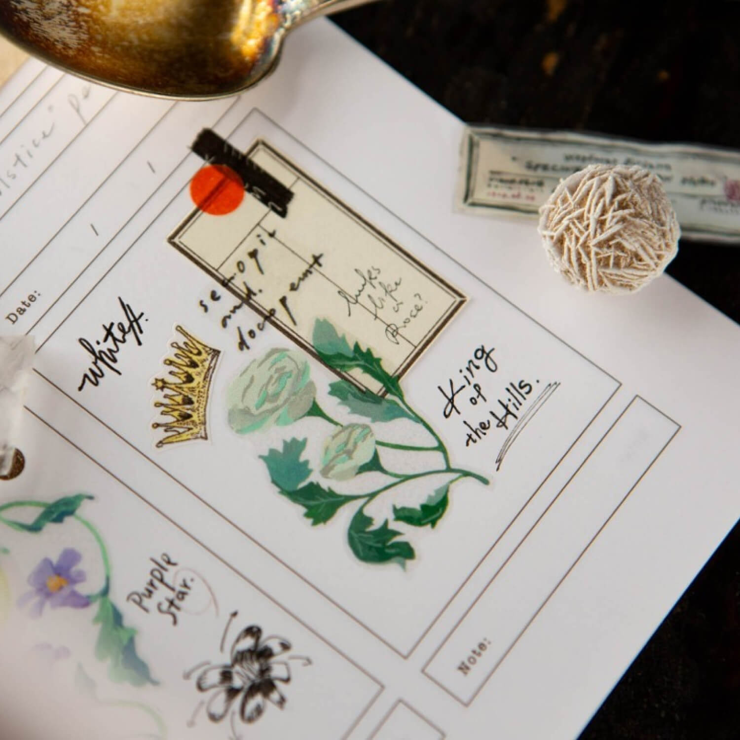 OURS The Wayfarer's Journal PET Tape