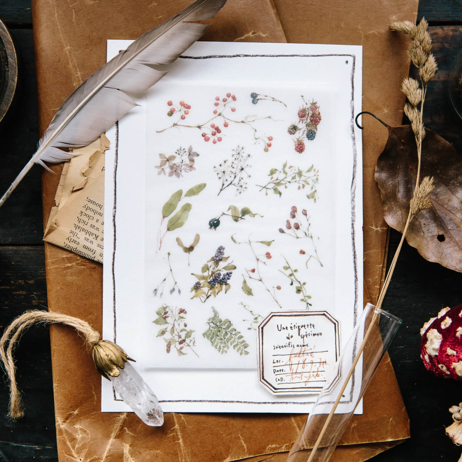 OURS Wild Plants II Print-on Stickers
