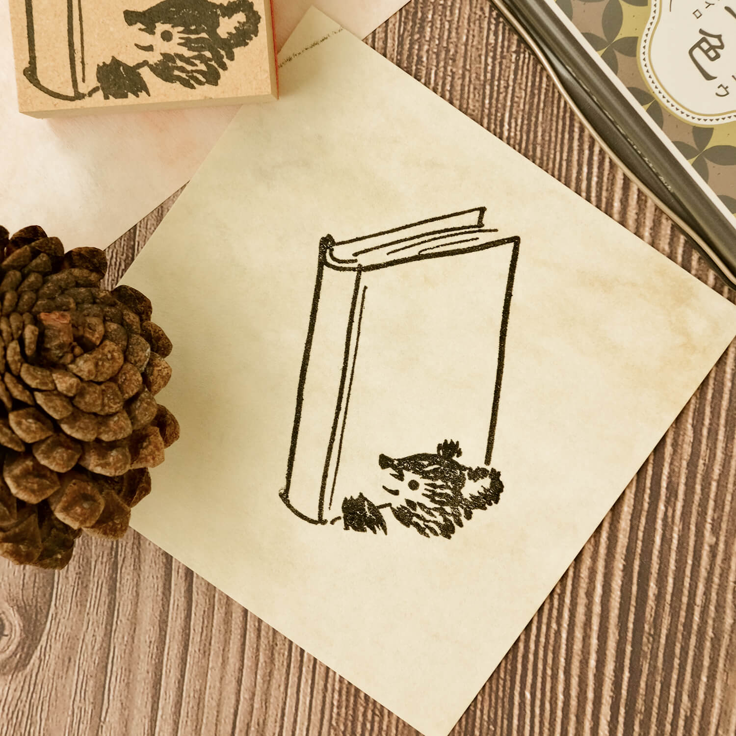 Osoblanco Frame Rubber Stamp - Books & Bear