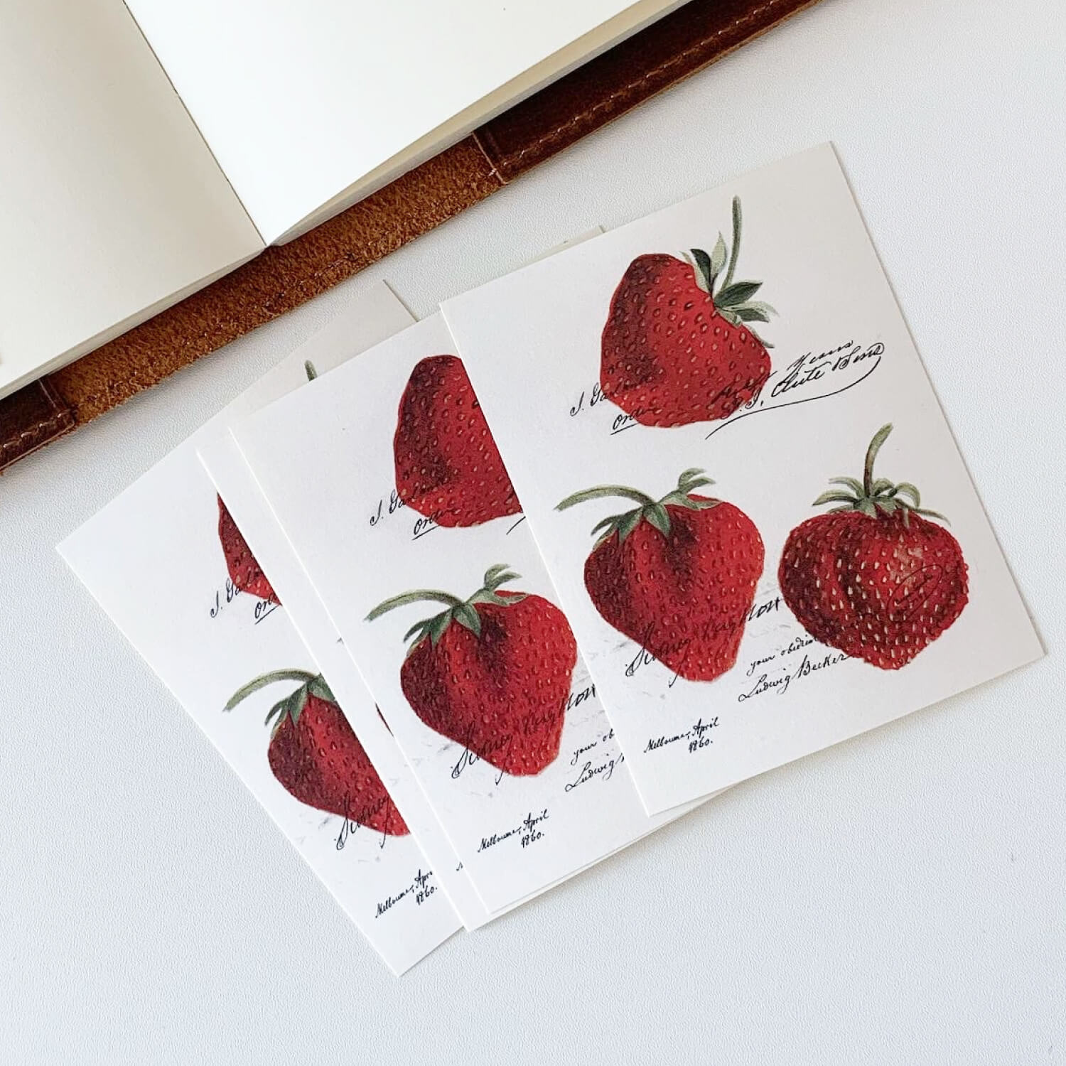 Popo Factory Strawberry Label Sticker