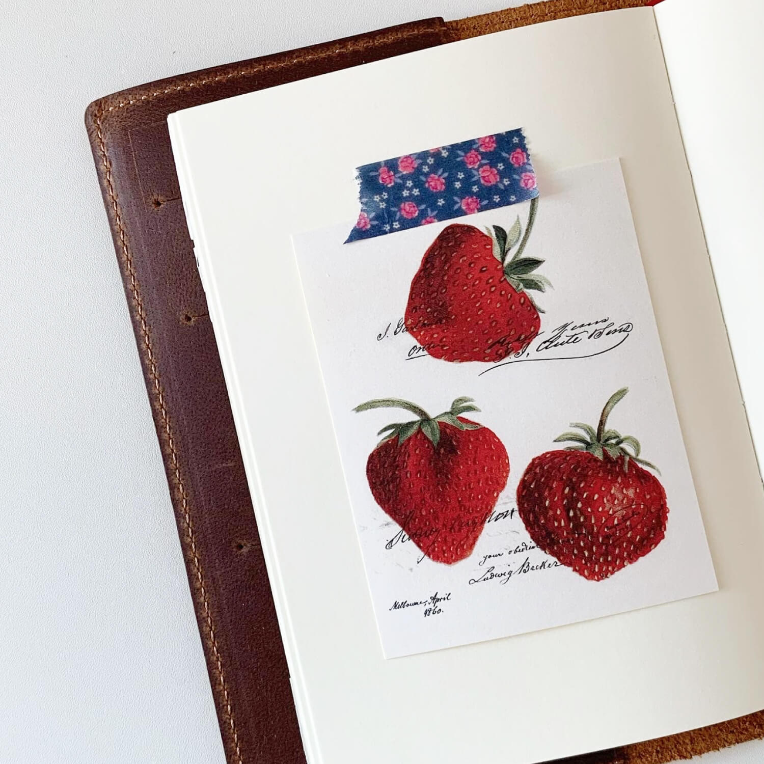 Popo Factory Strawberry Label Sticker