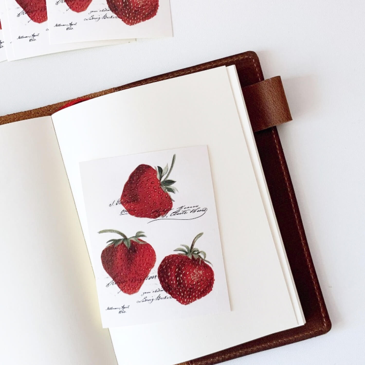 Popo Factory Strawberry Label Sticker