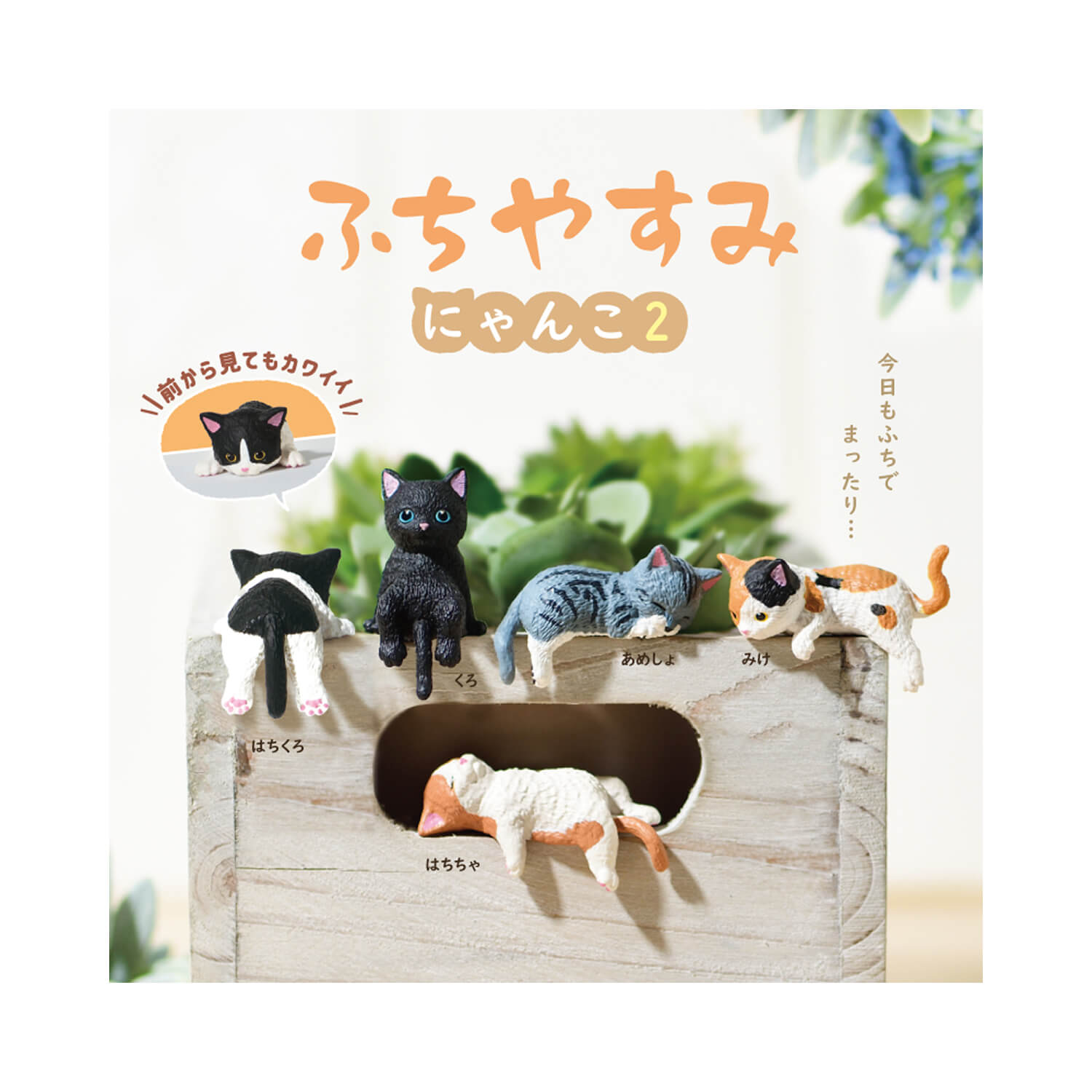 Resting Cats Blind Box