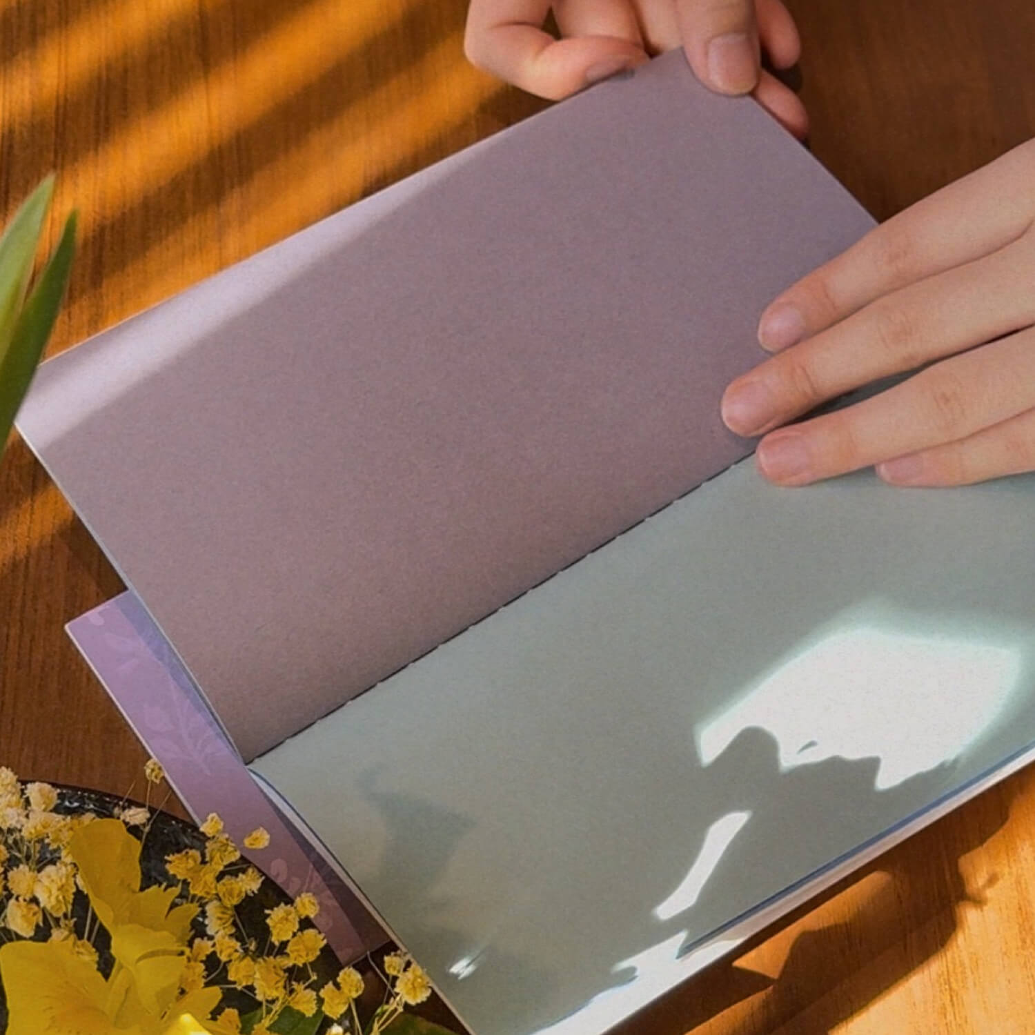 Square Studio Beijing Collection - Traveler's Notebook Inserts