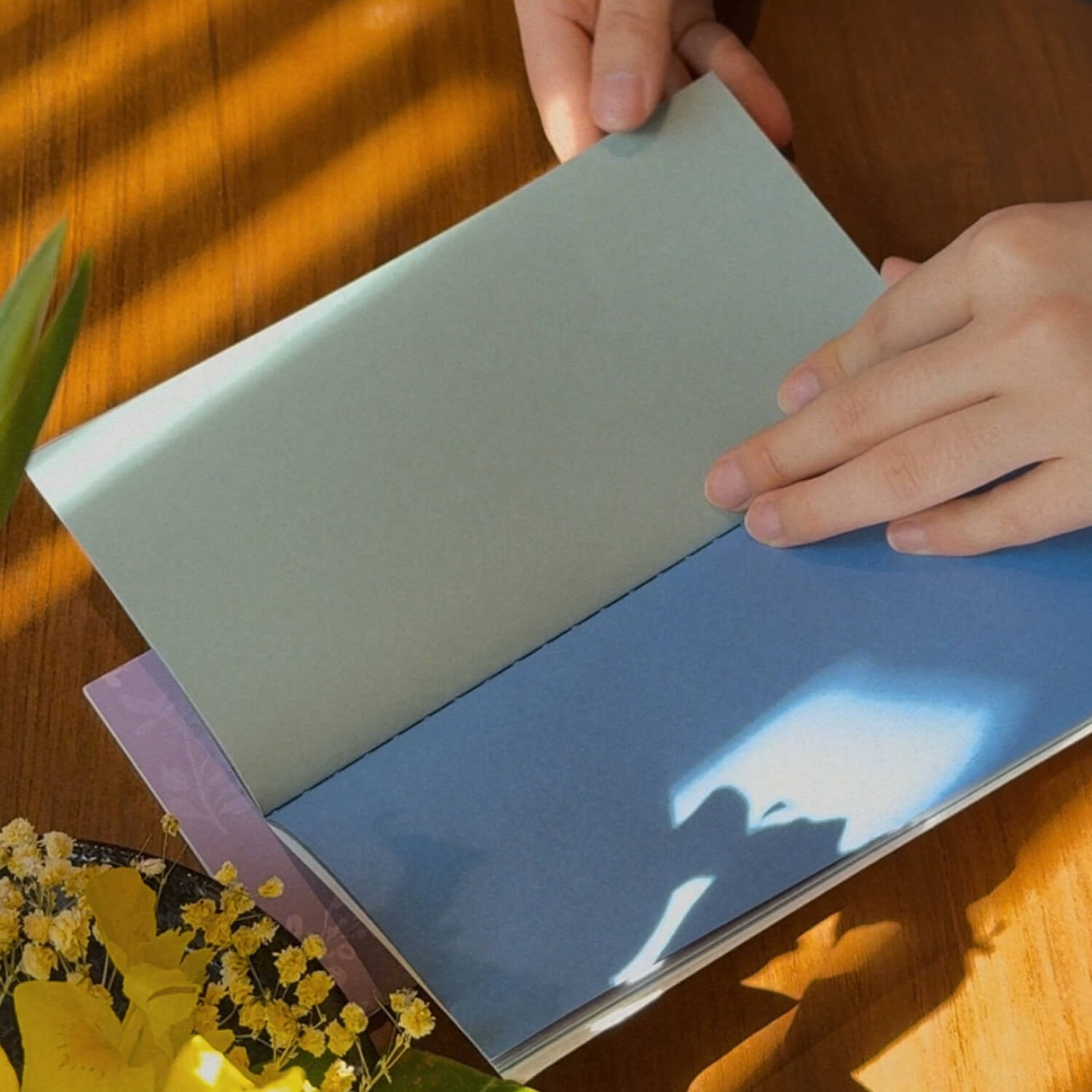 Square Studio Beijing Collection - Traveler's Notebook Inserts