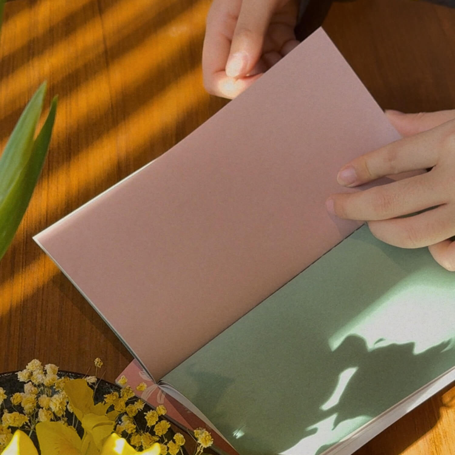 Square Studio Beijing Collection - Traveler's Notebook Inserts