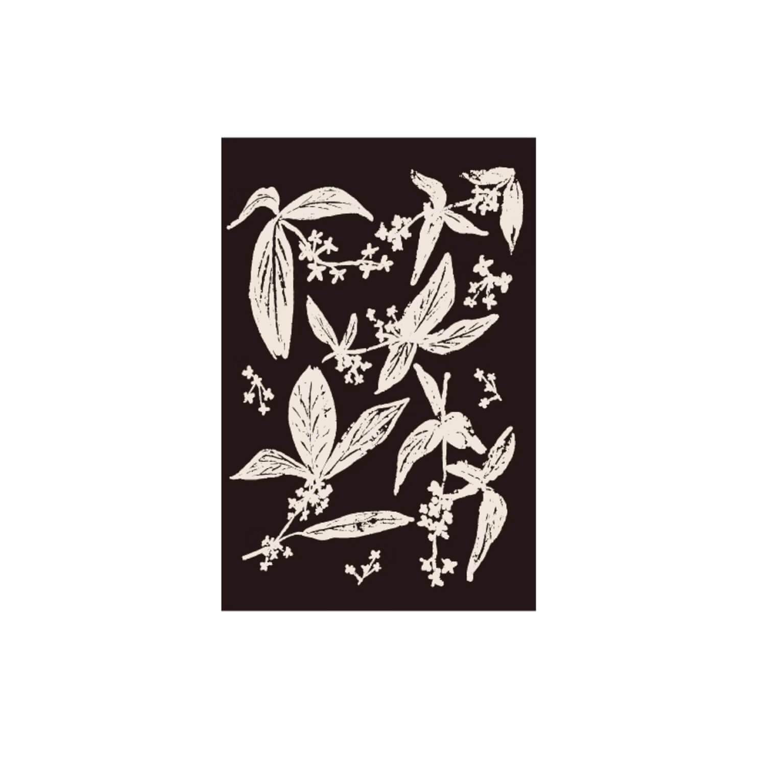 Square Studio Shanghai Stamp - Osmanthus
