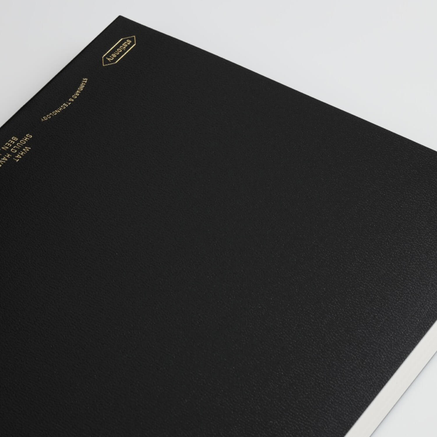 Stalogy 365 Days Notebook