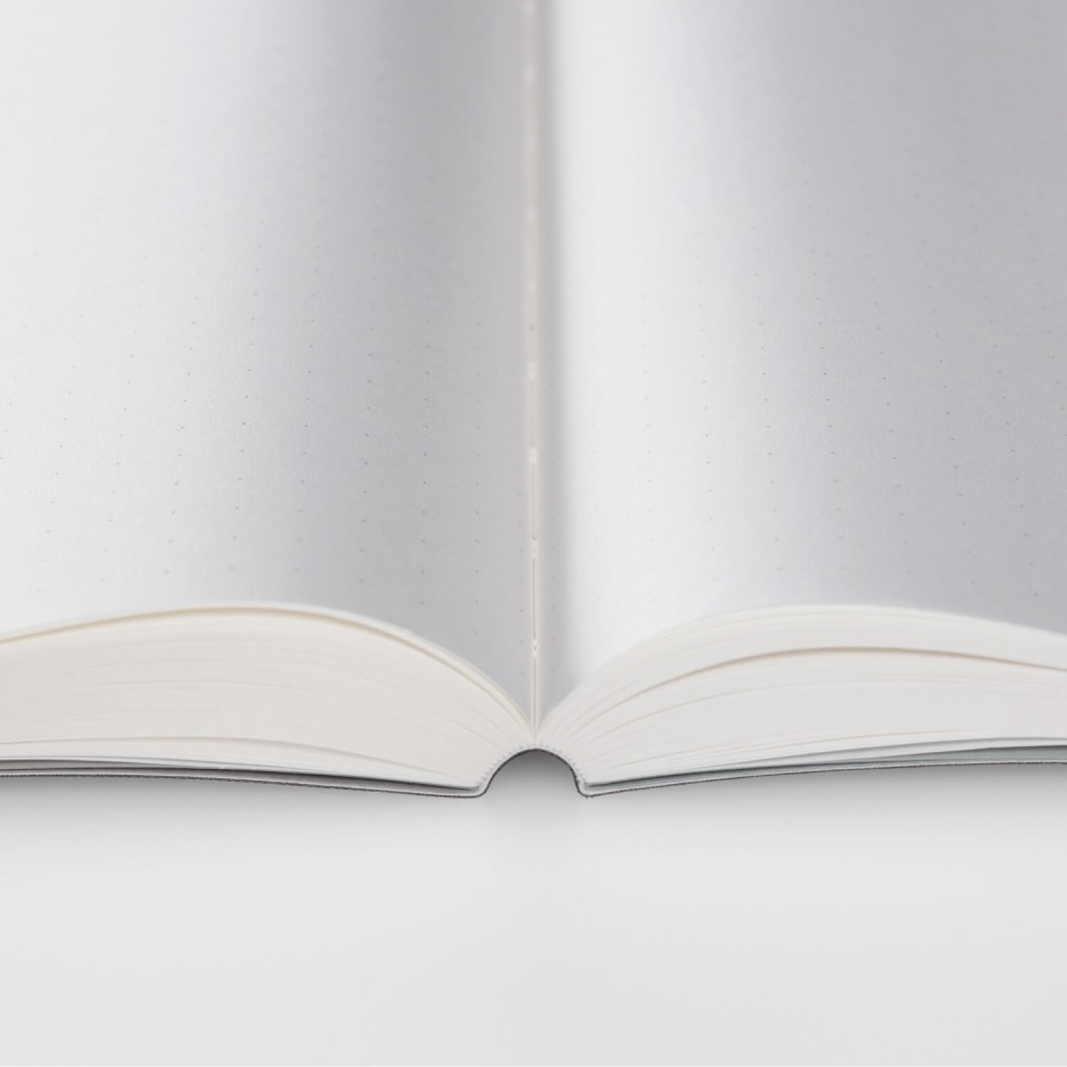 Stalogy 365 Days Notebook - Dotted