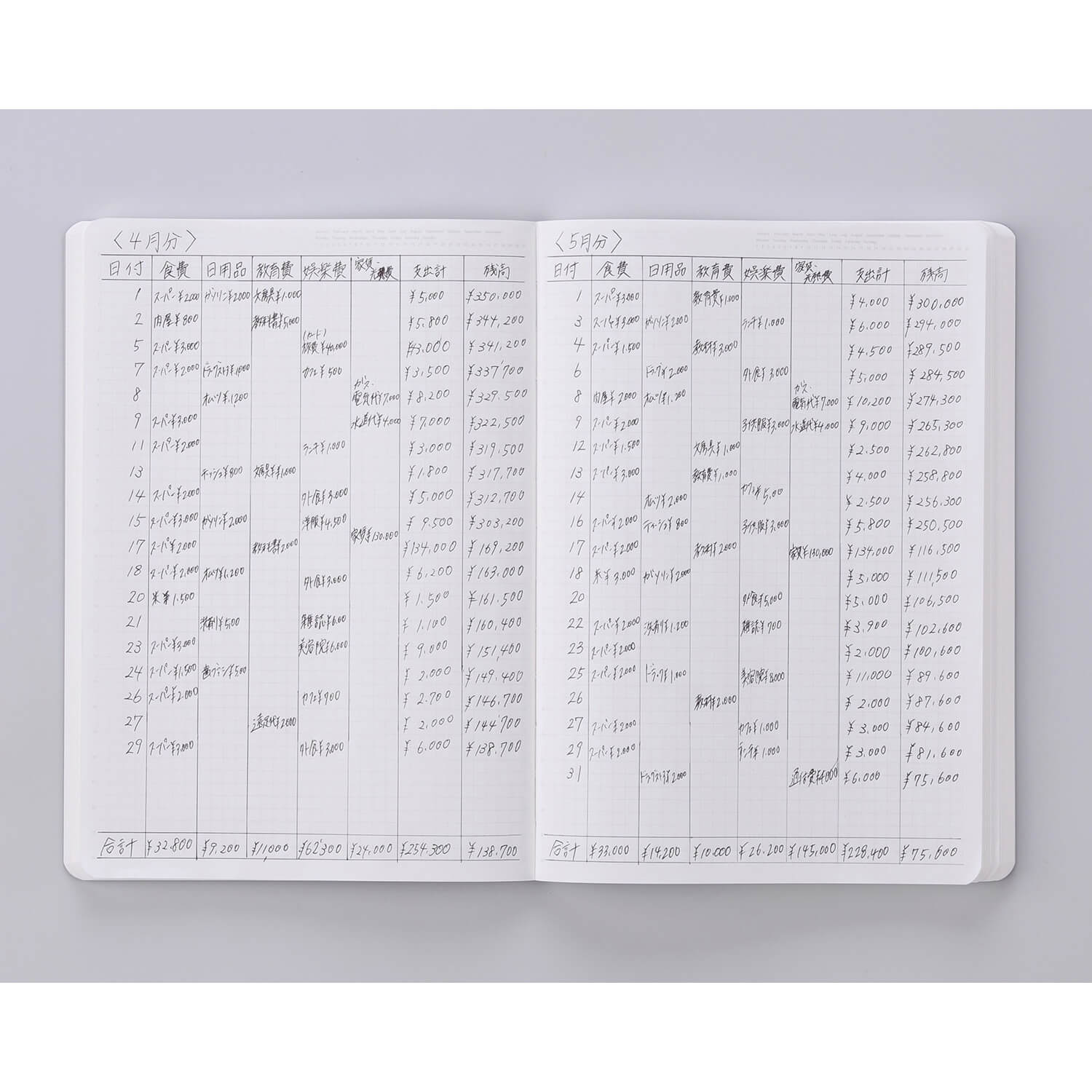 Stalogy 365 Days Notebook