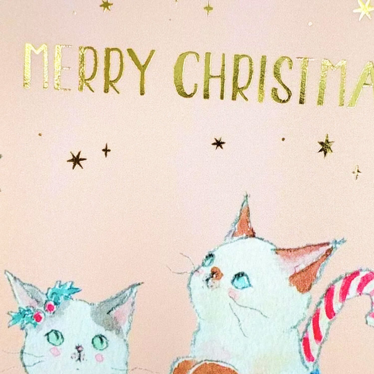 Tocoro Comugi Christmas Postcard – Stocking Cat