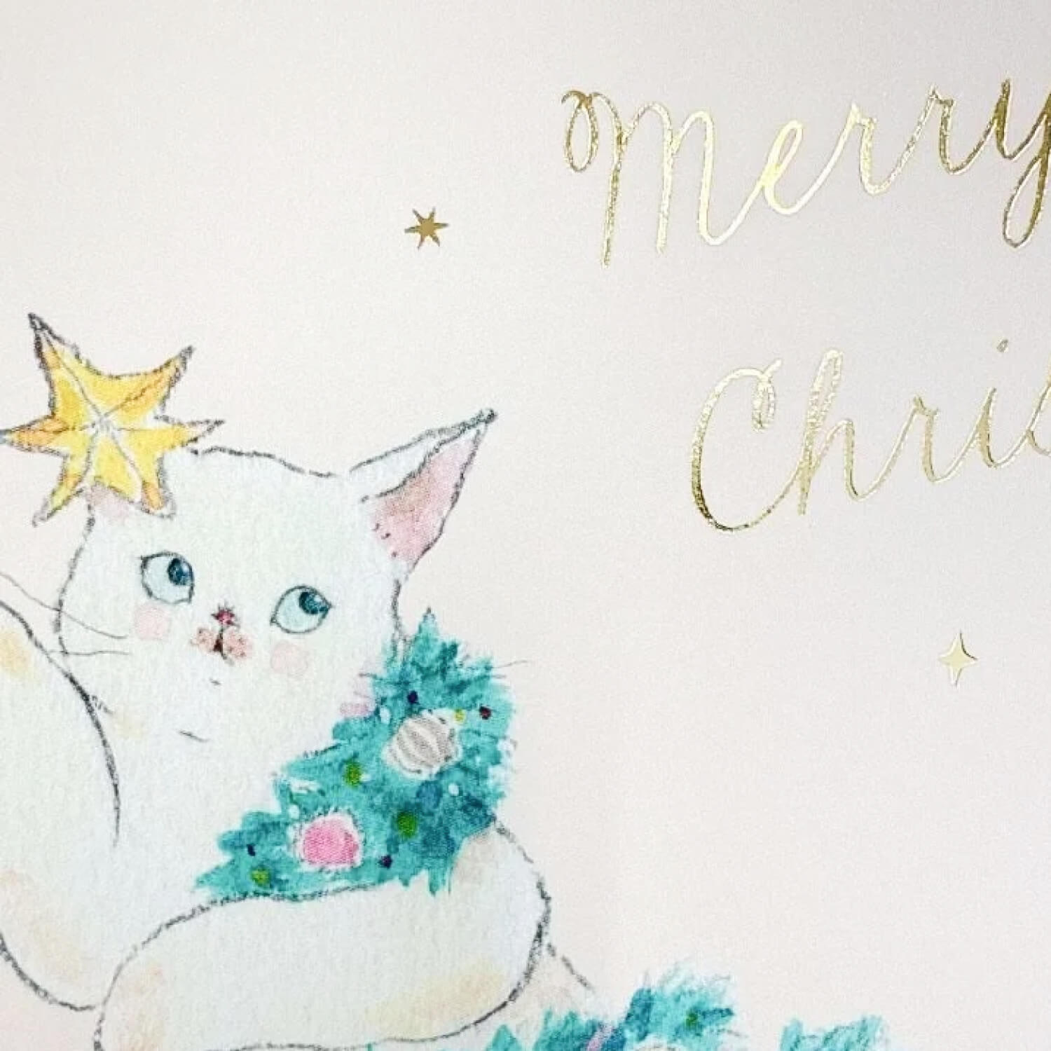Tocoro Comugi Christmas Postcard – White Tree Cat