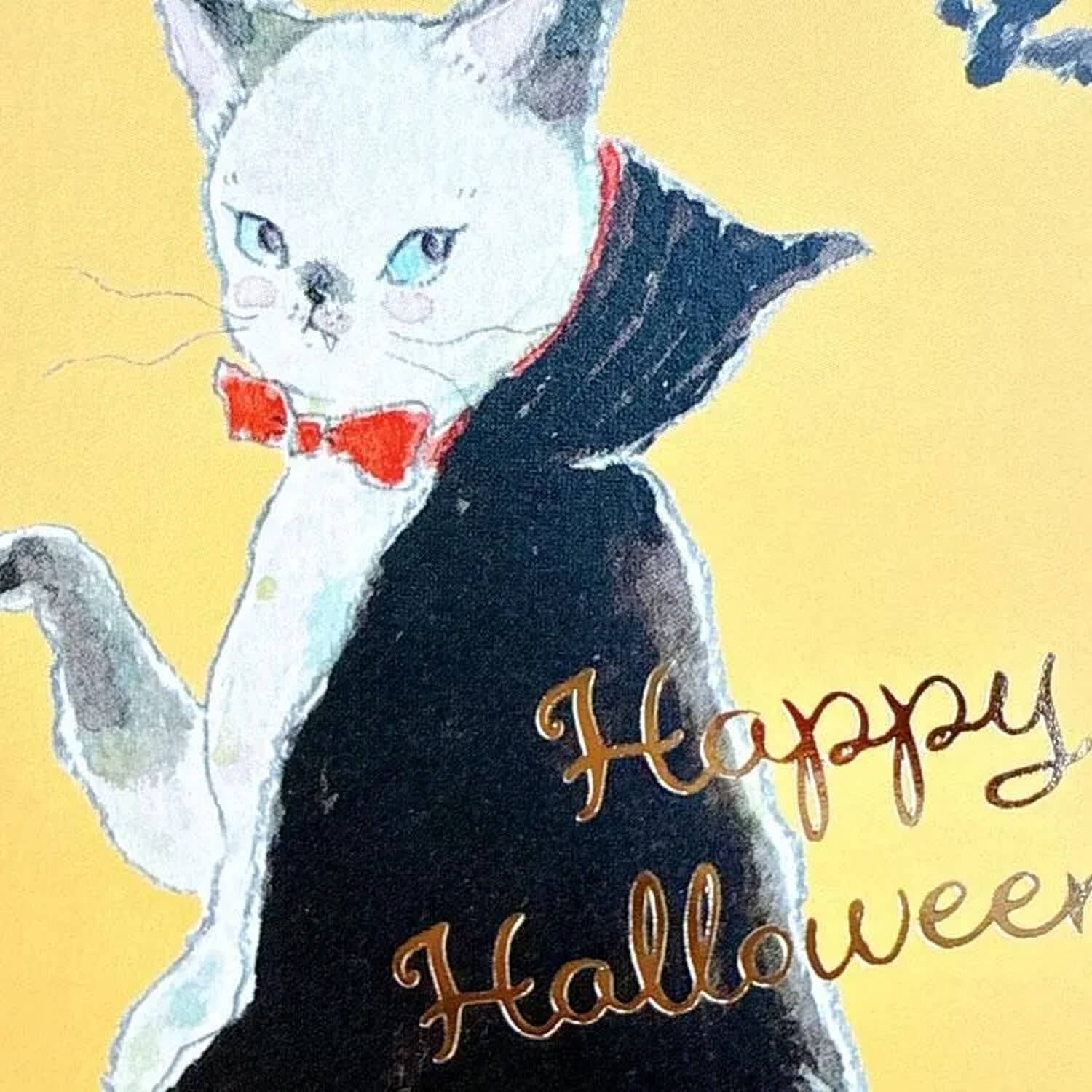 Tocoro Comugi Postcard - Halloween Dracula Cat
